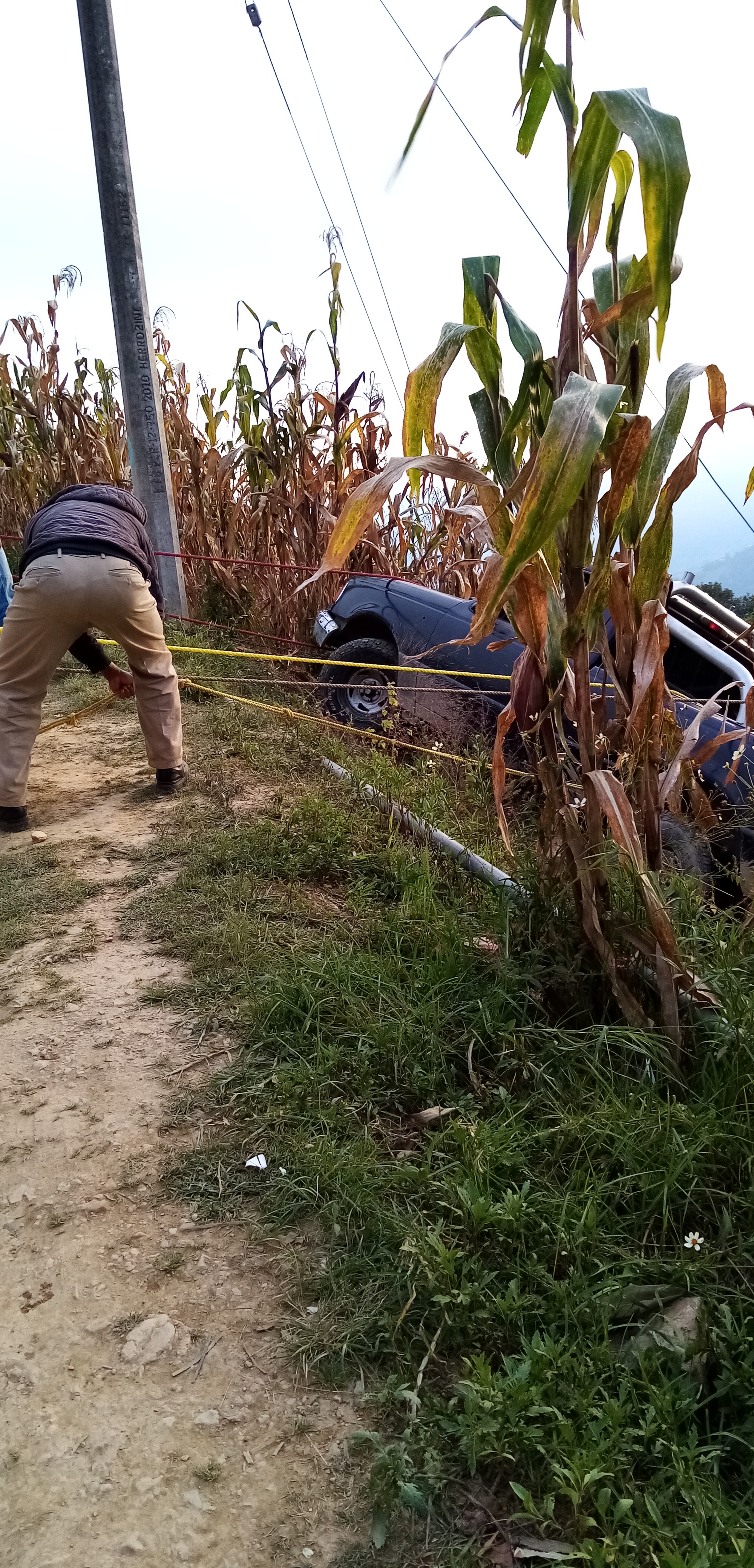 Rosticeria Y Abarrotes image 8