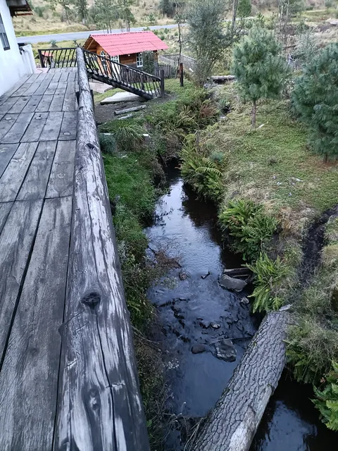 El Amigo Del Sur image 1