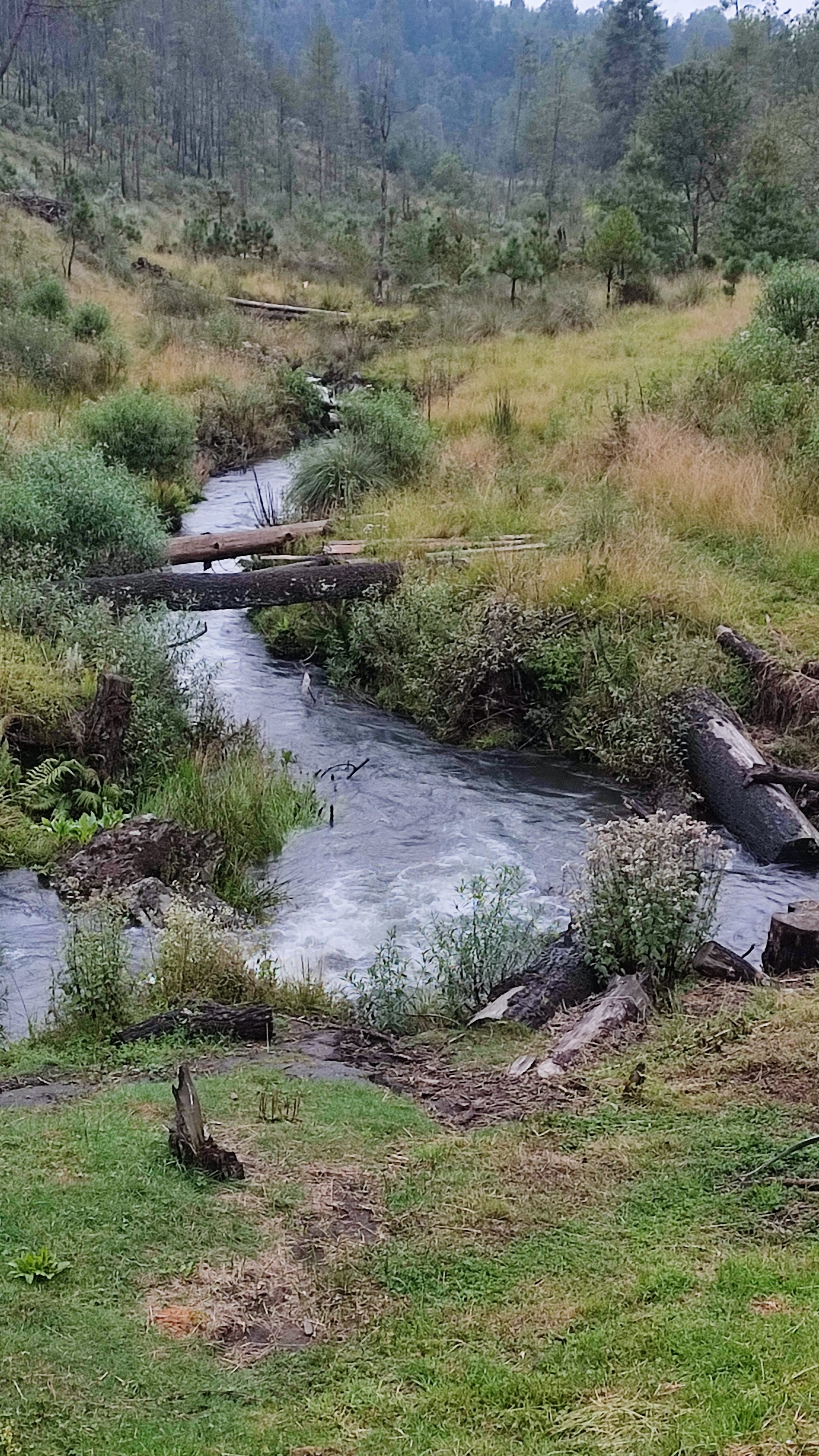 El Amigo Del Sur image 5