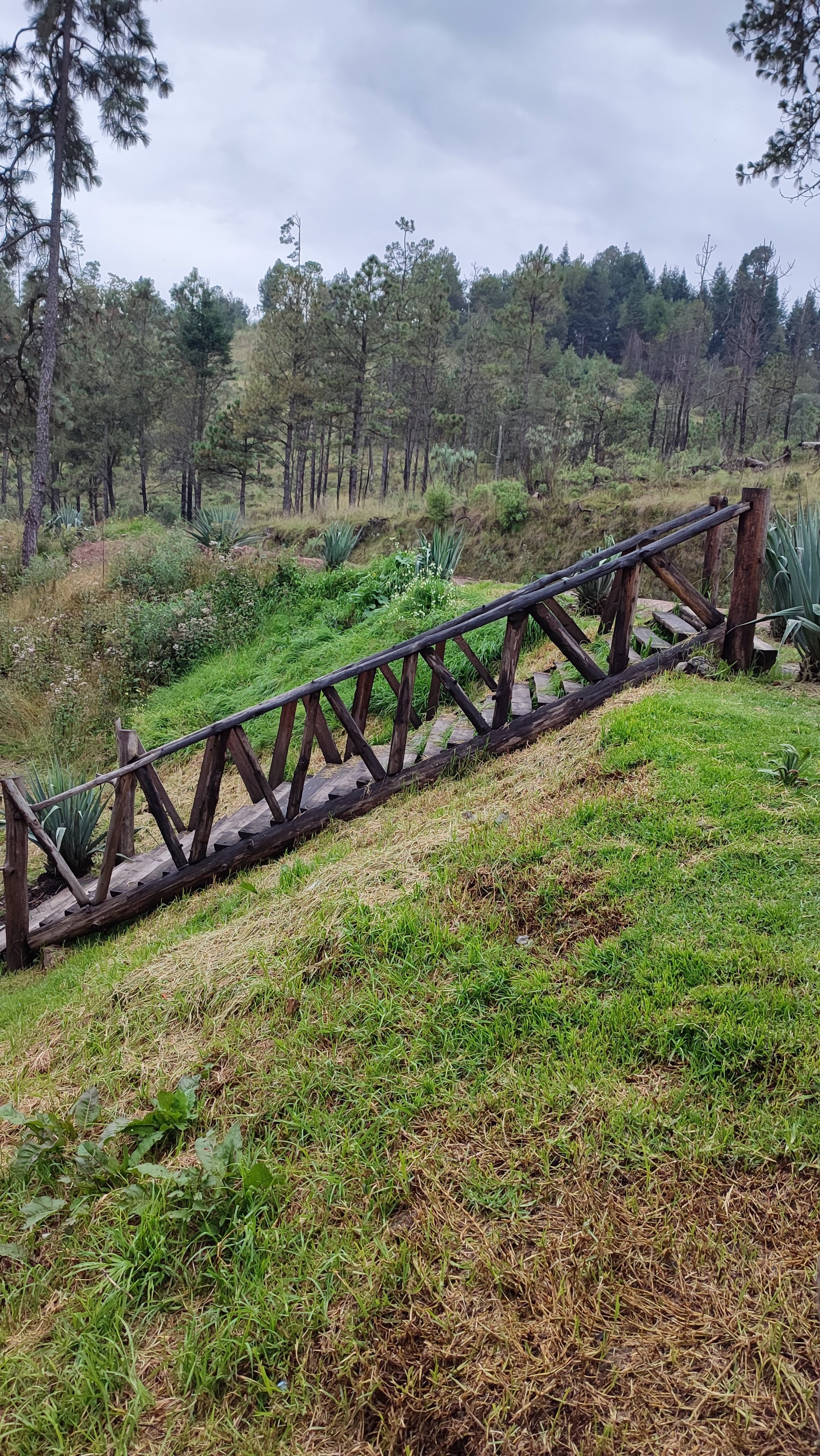 El Amigo Del Sur image 8