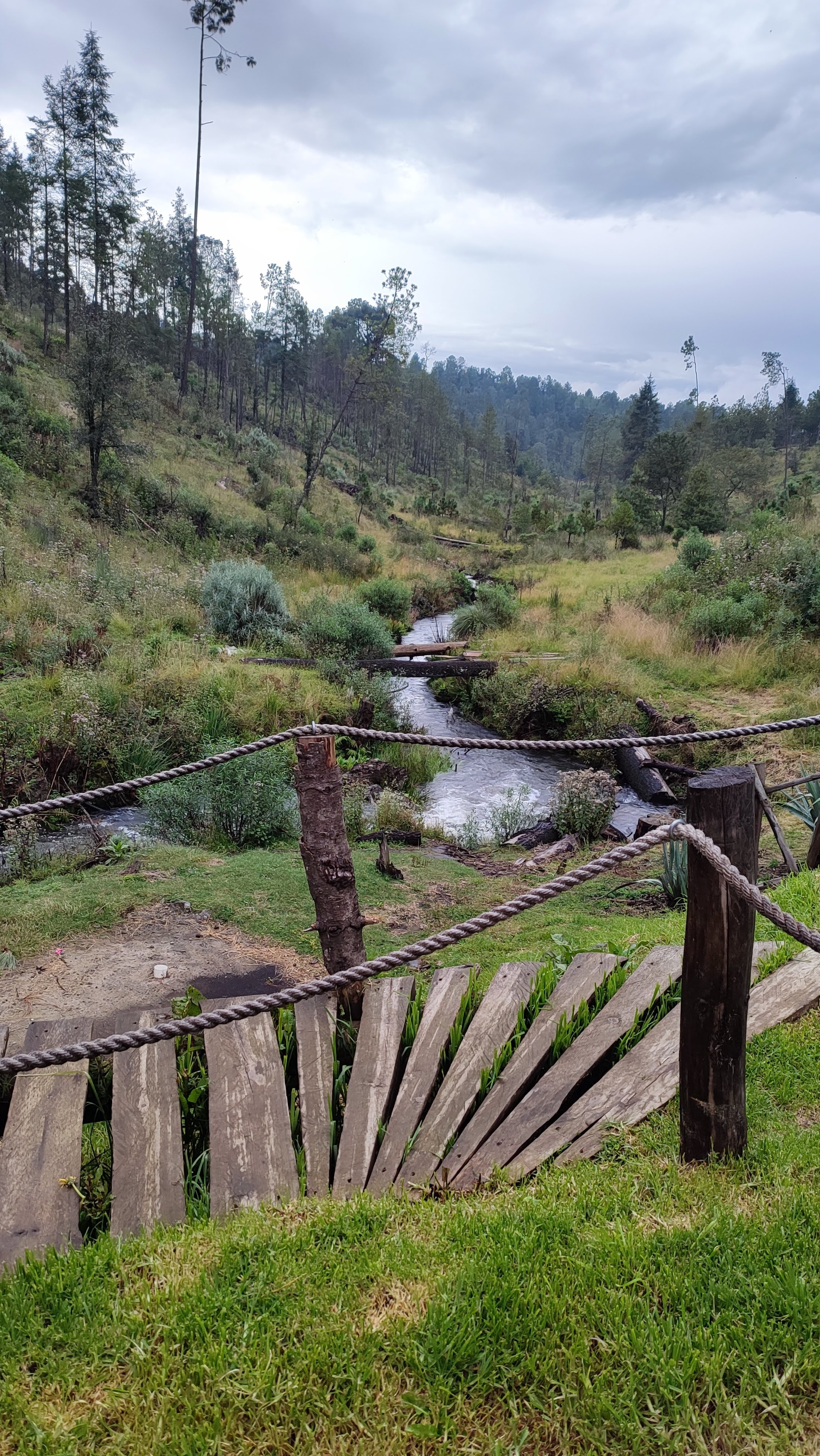 El Amigo Del Sur image 10