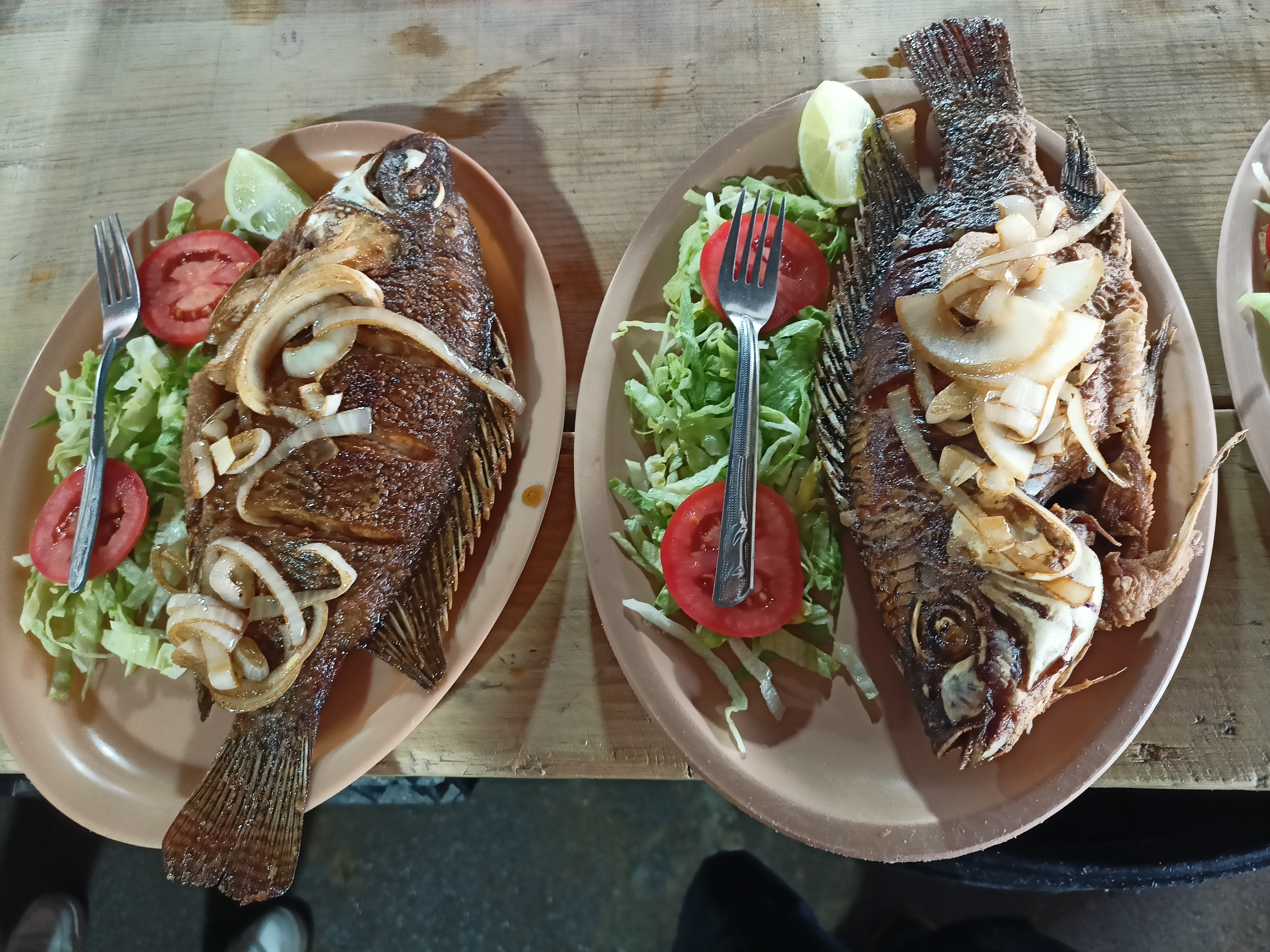 Truchas Los Primos image 7