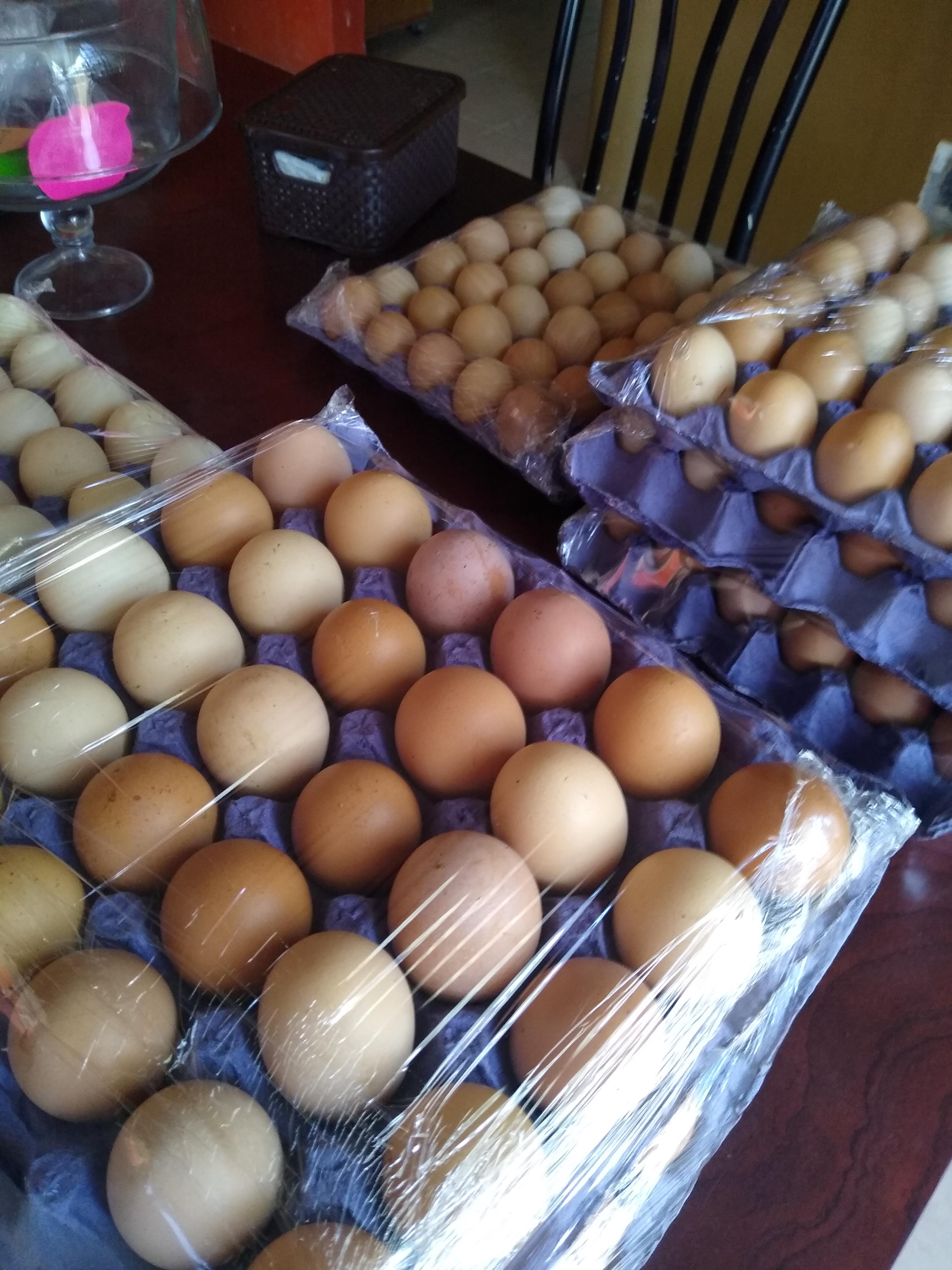 Finca Apanal image 5