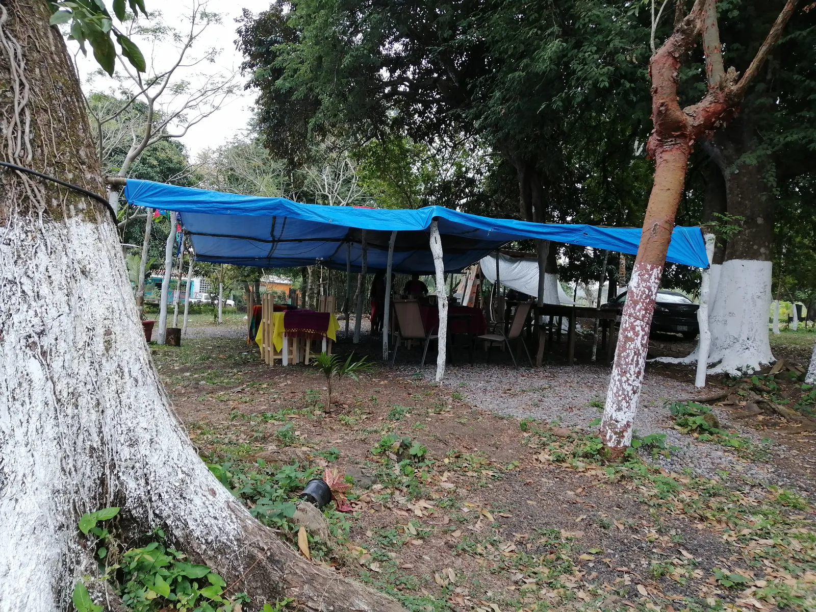 Finca Apanal image 7