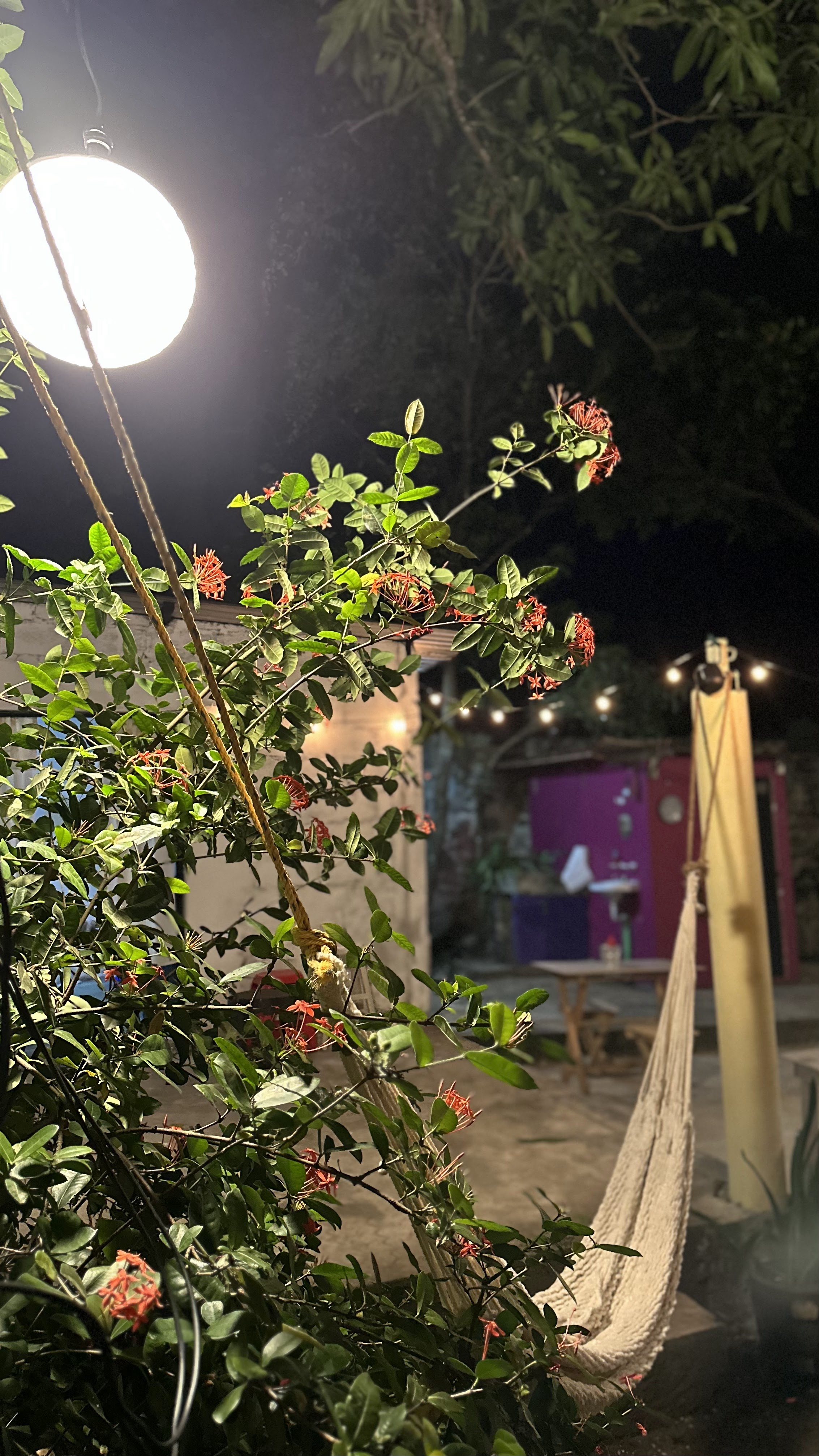 Tres Hechizos image 5