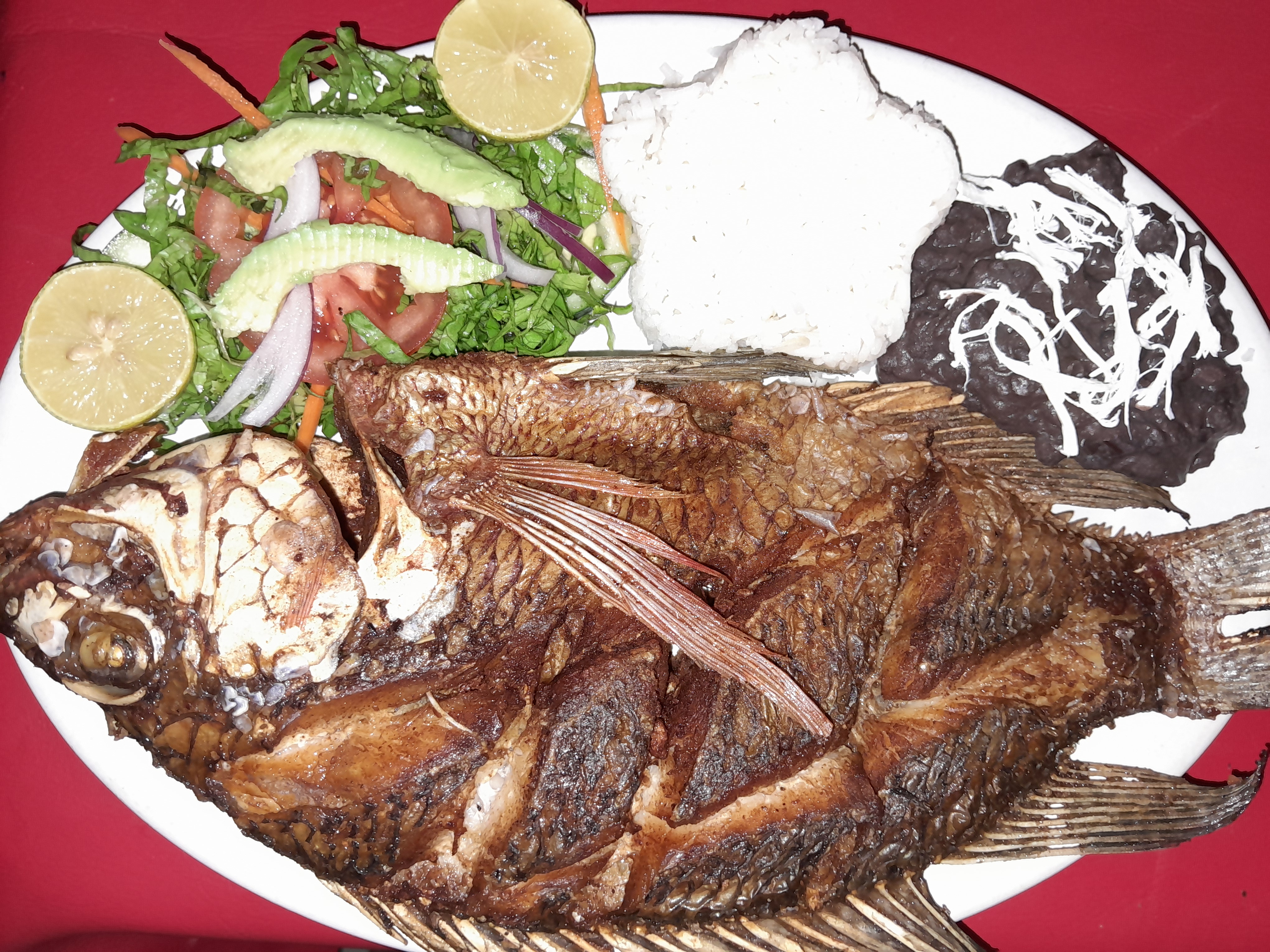 LA NIETA DEL ENCANTO JAROCHO 4 image 7