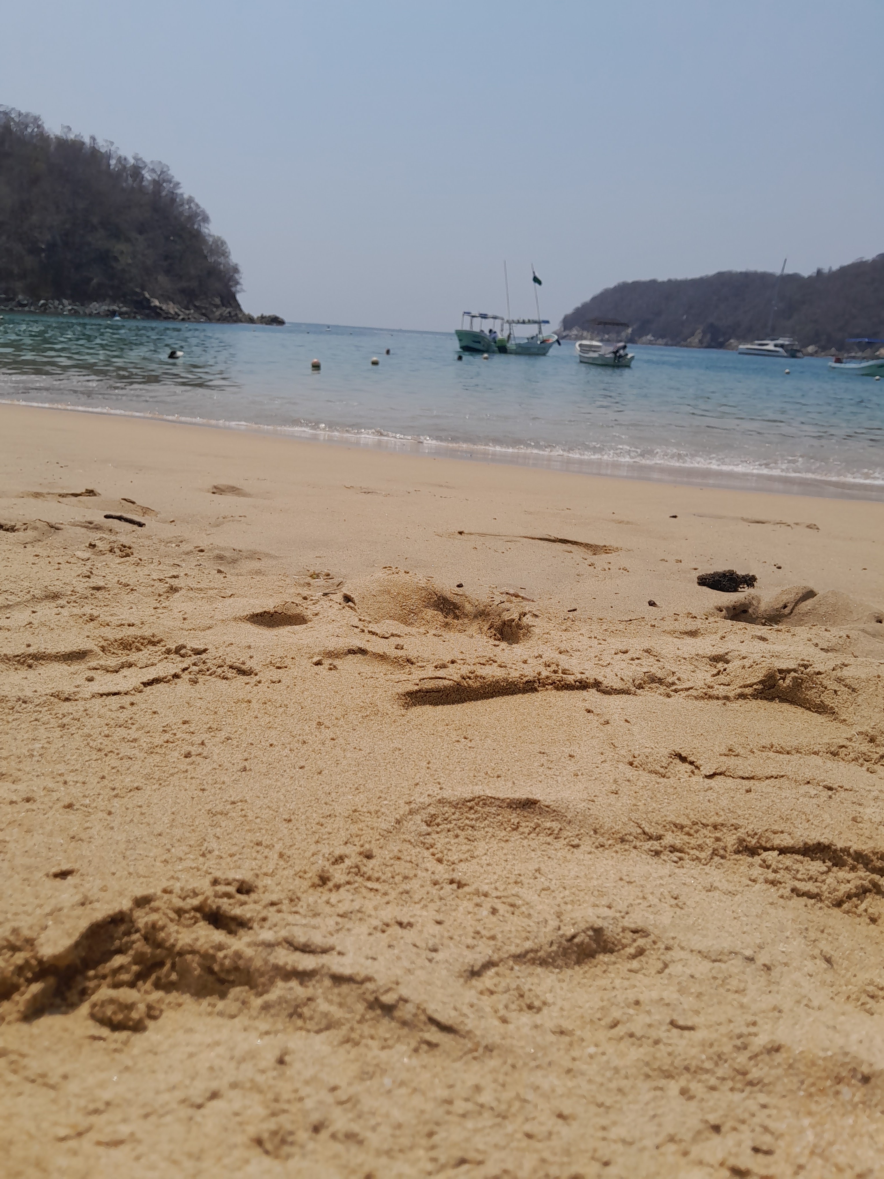 Brisas Del Mar image 3