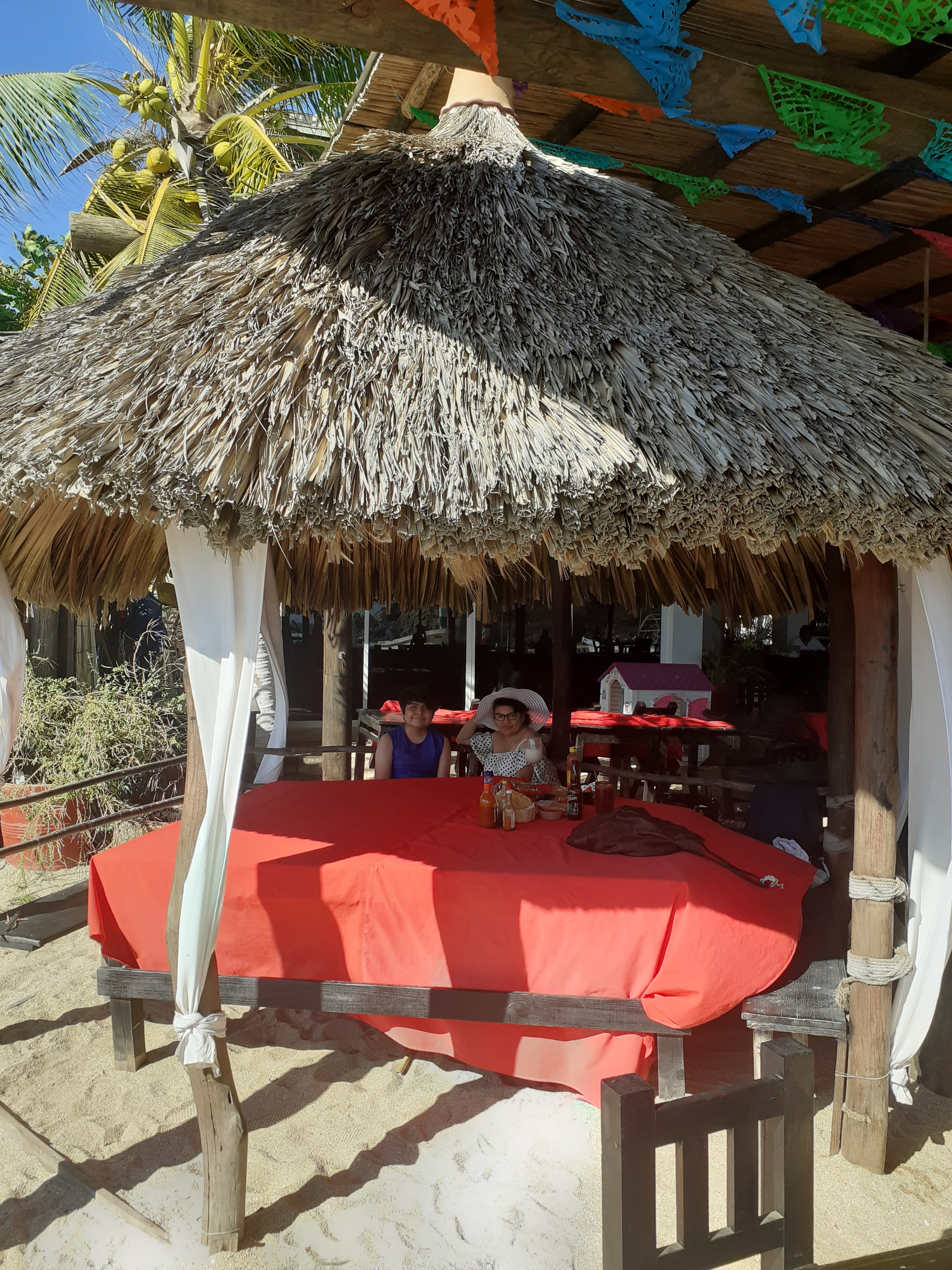 Brisas Del Mar image 6