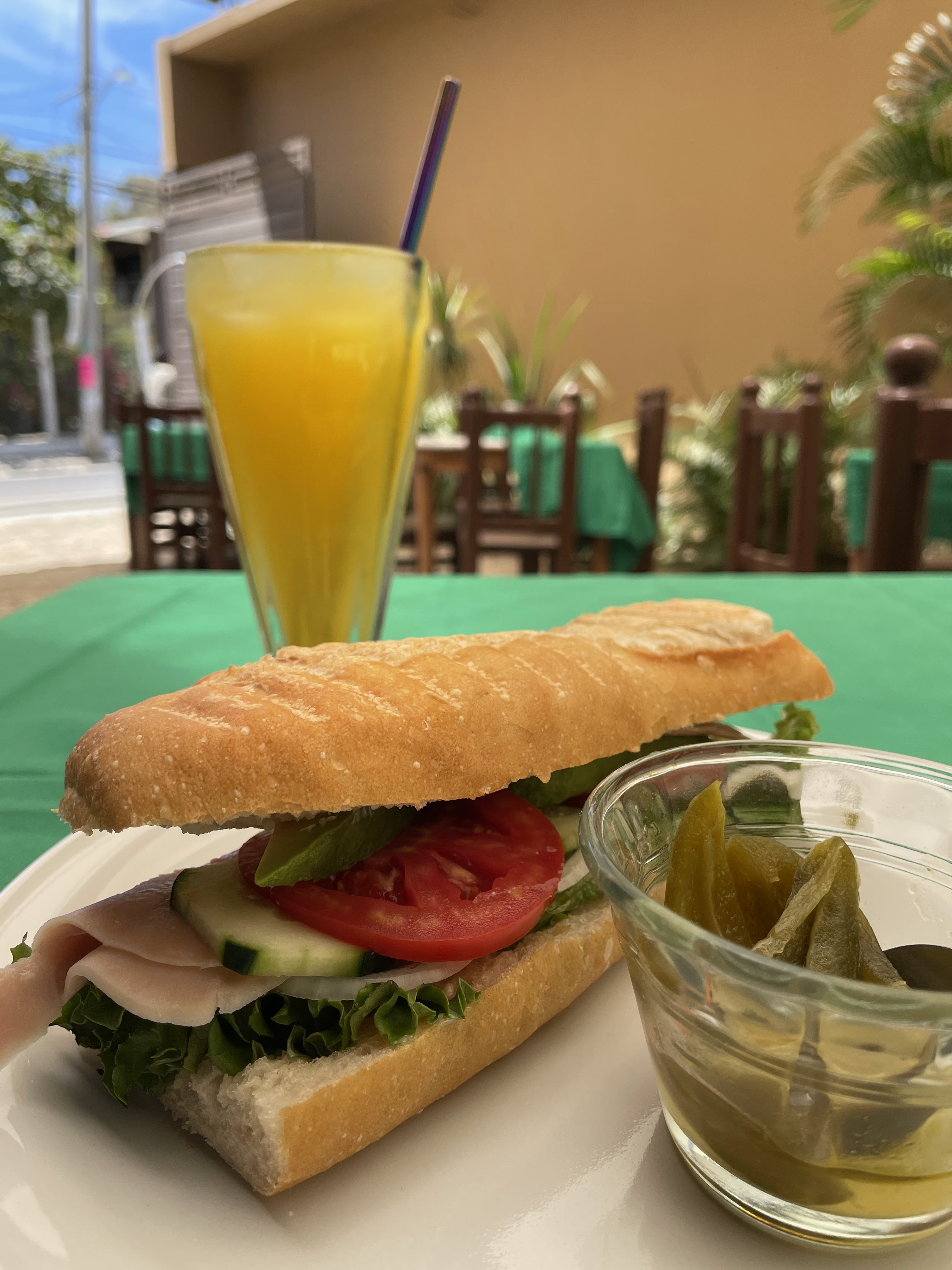 Tlalli Puerto Ángel image 5