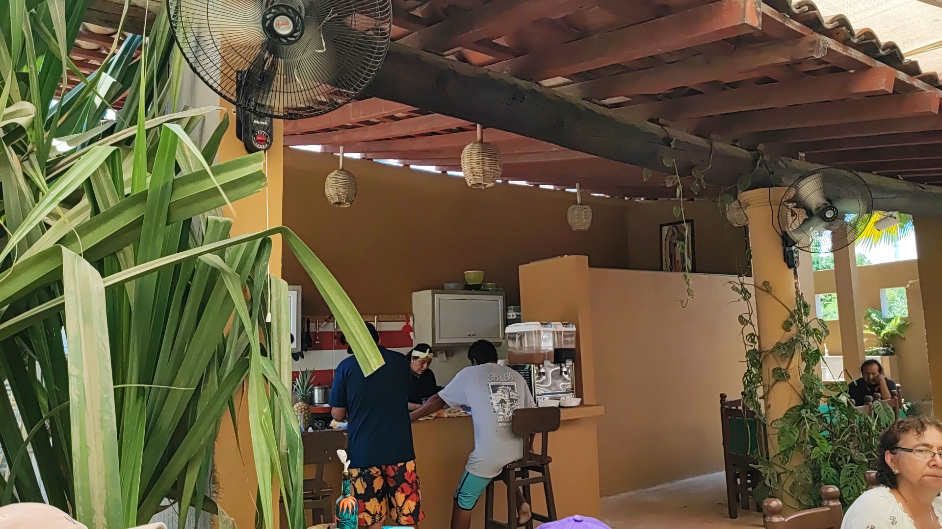 Tlalli Puerto Ángel image 10