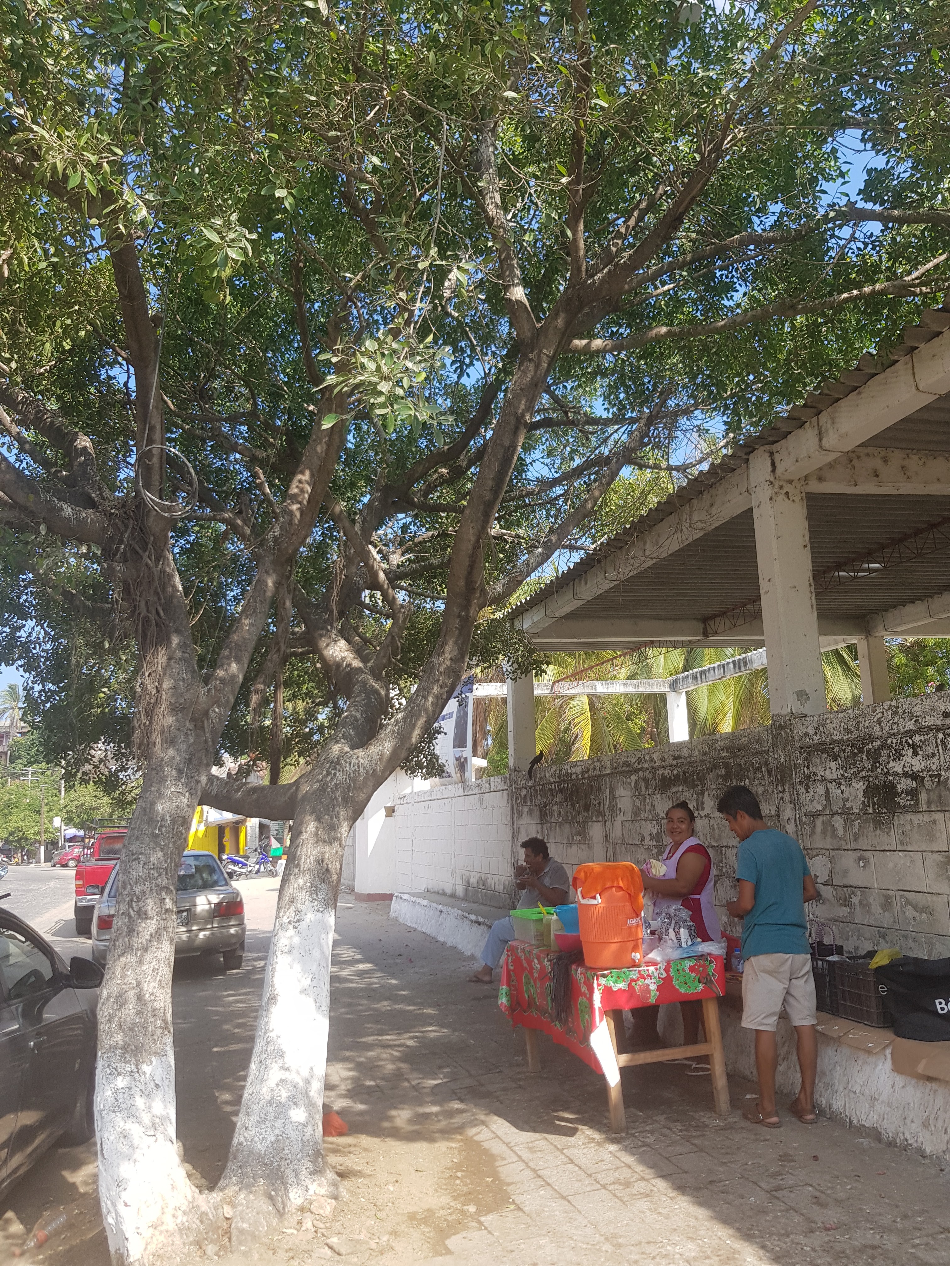 Tostada de Pilar y Hermilo image 2