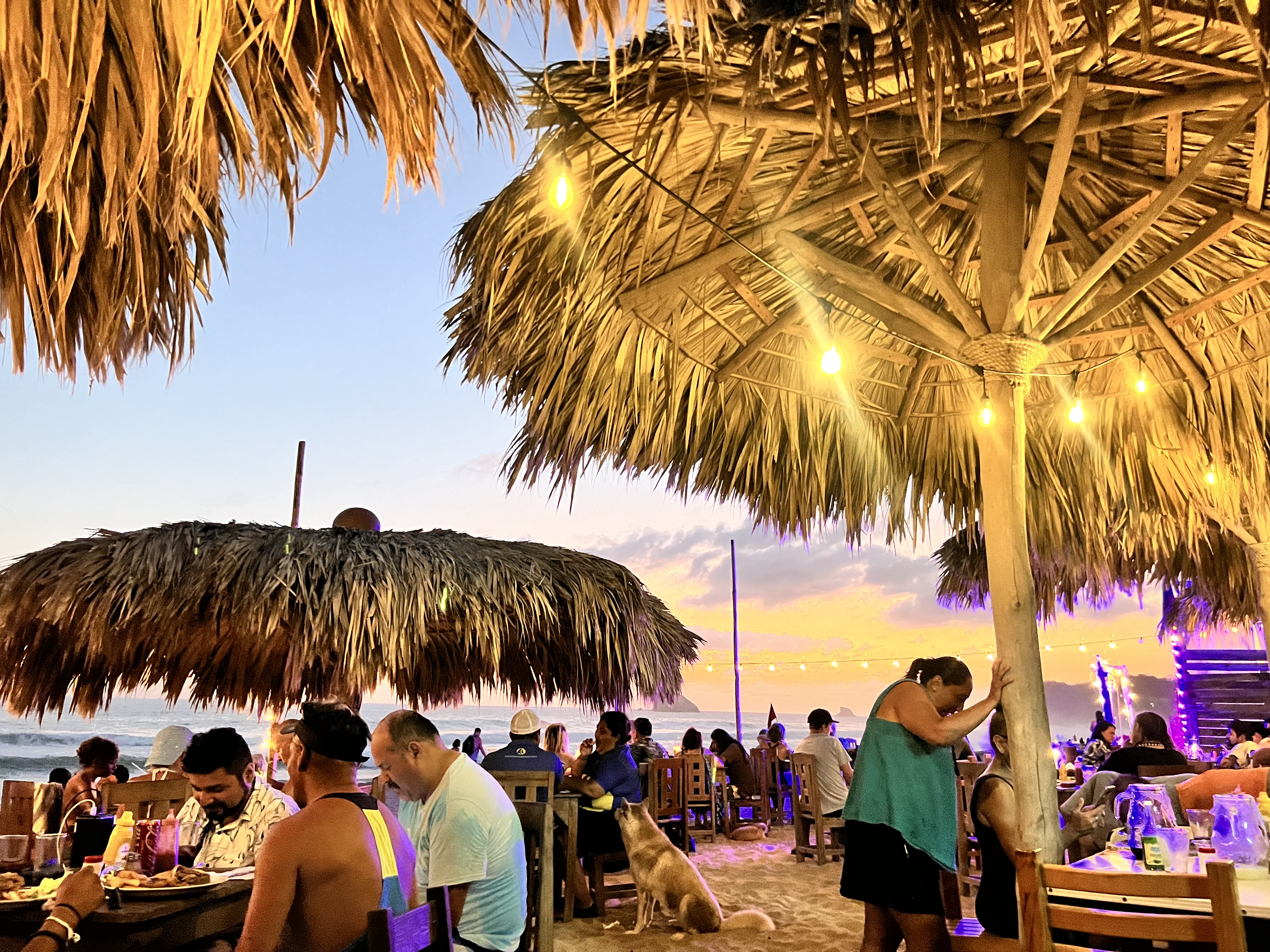 Sal y Pimienta image 5