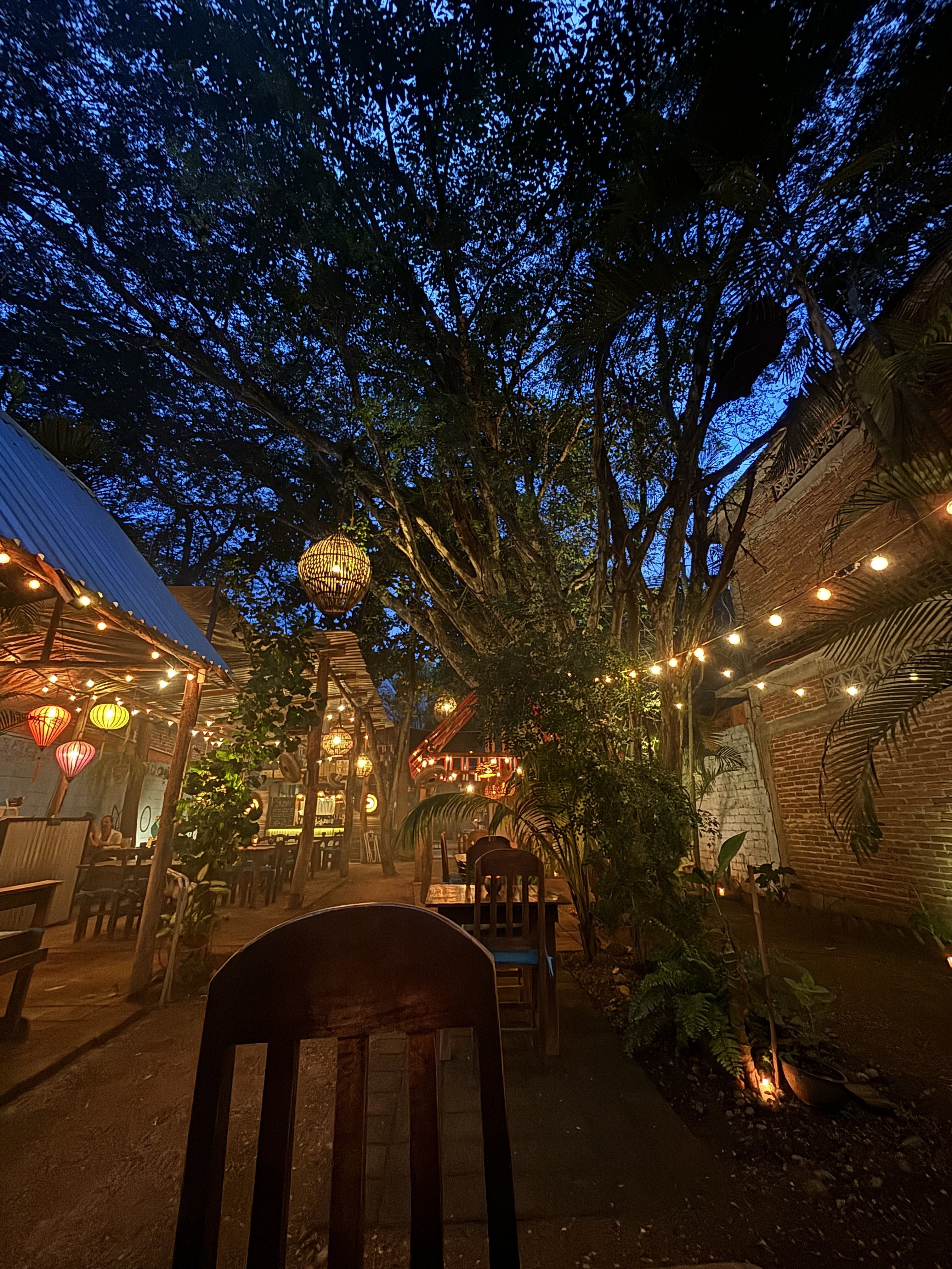 Mao Mau Authentic Thai & Asian Cuisine image 4