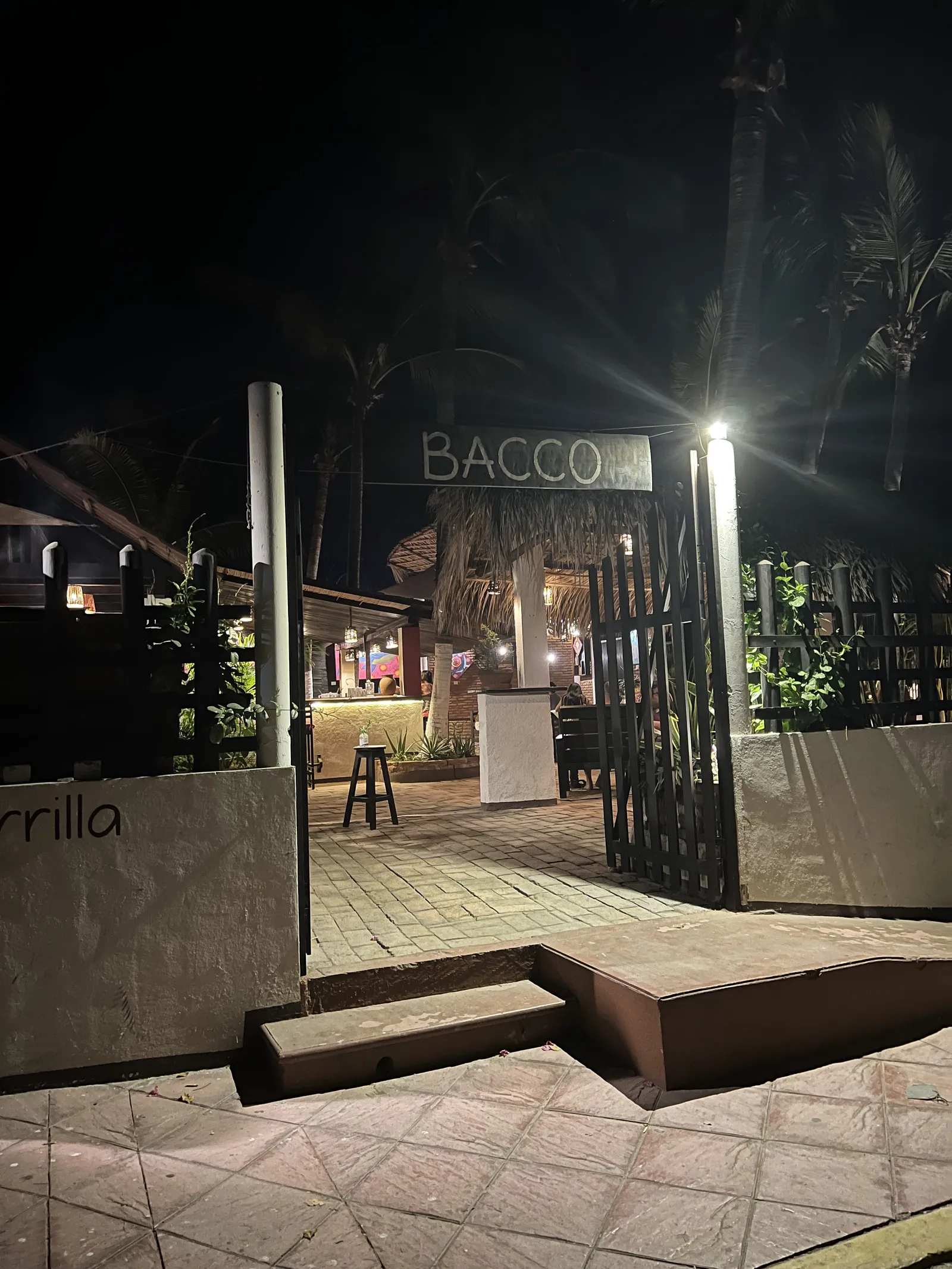 Bacco image 10