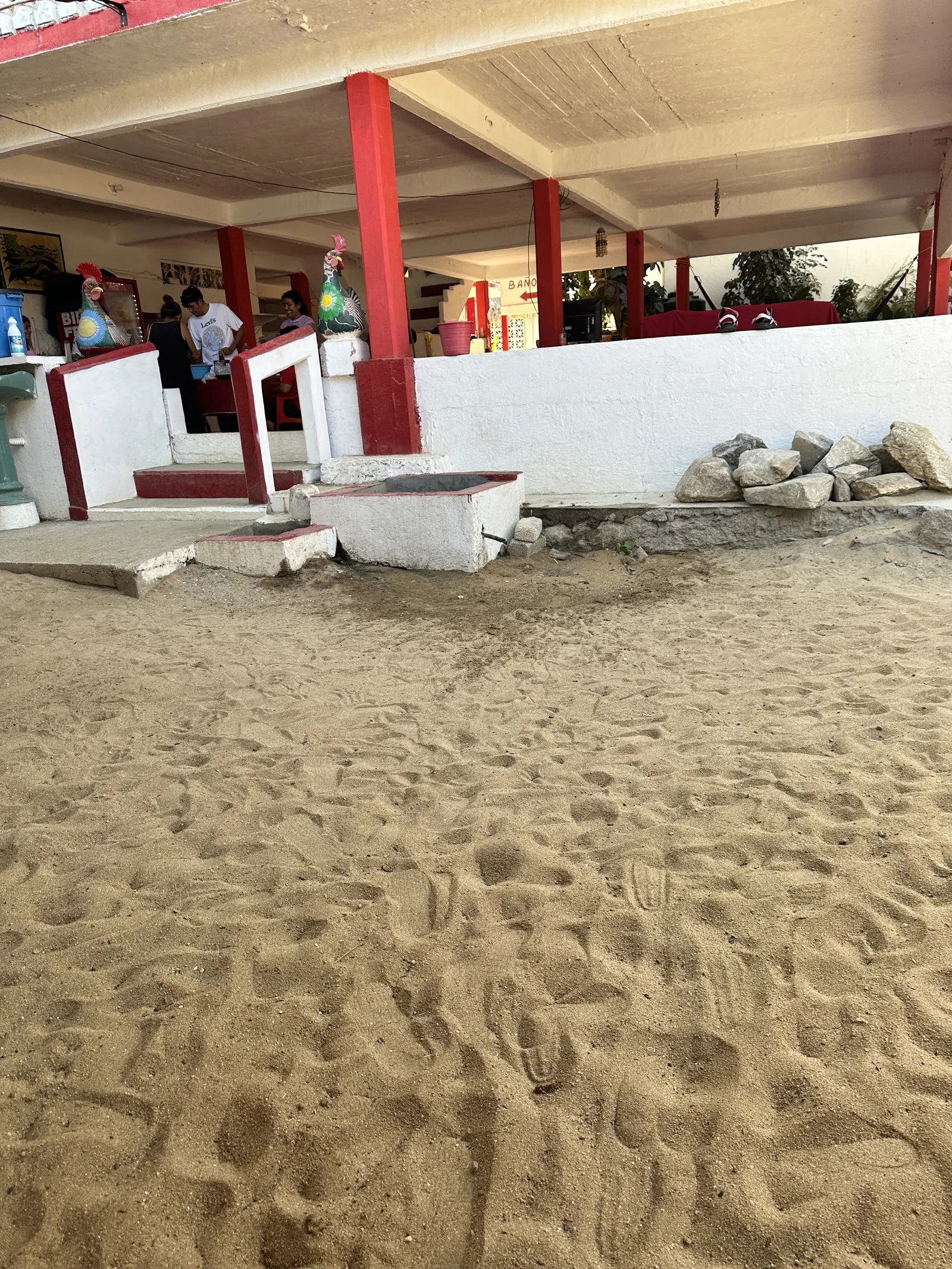 Quetita image 7
