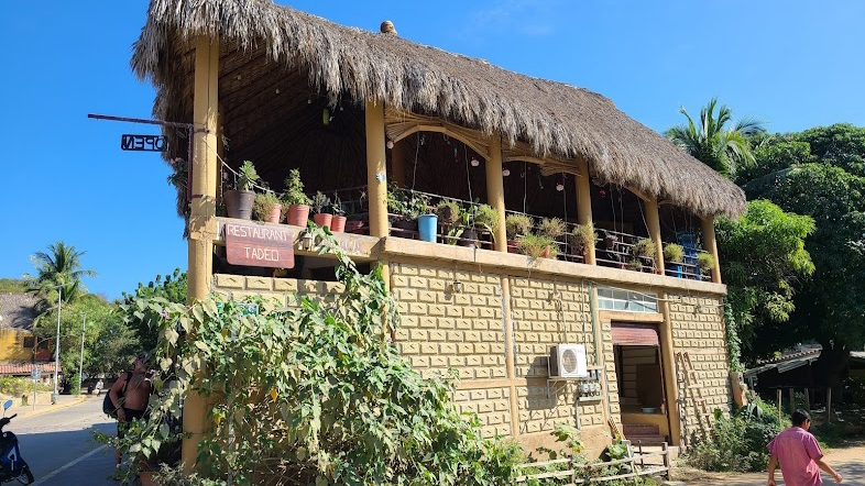 Restaurant Tadeo image 3