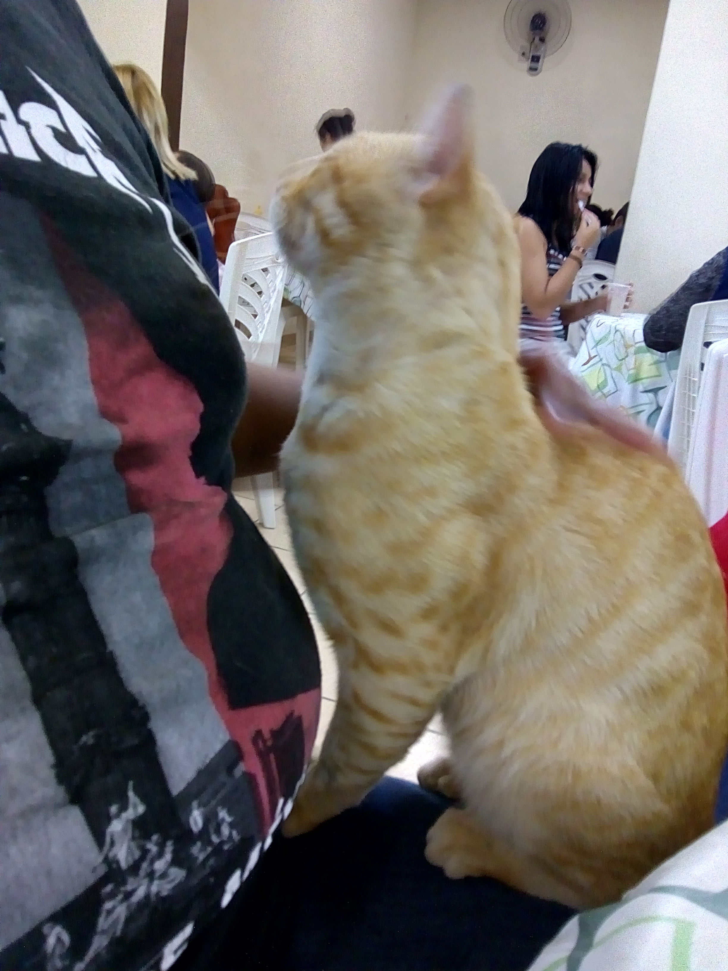 Antojitos Raquel image 9