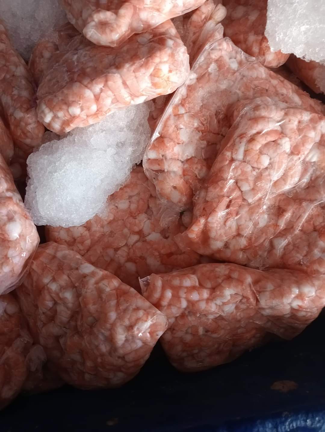 Pescadería "SENA" image 3