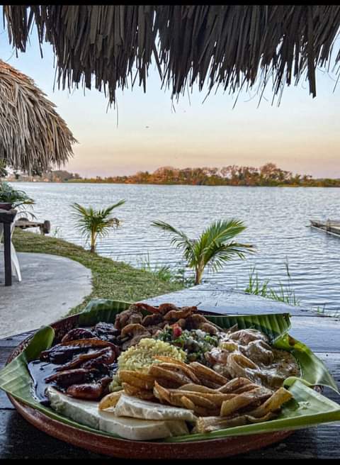 Palapas las iguanas image 1