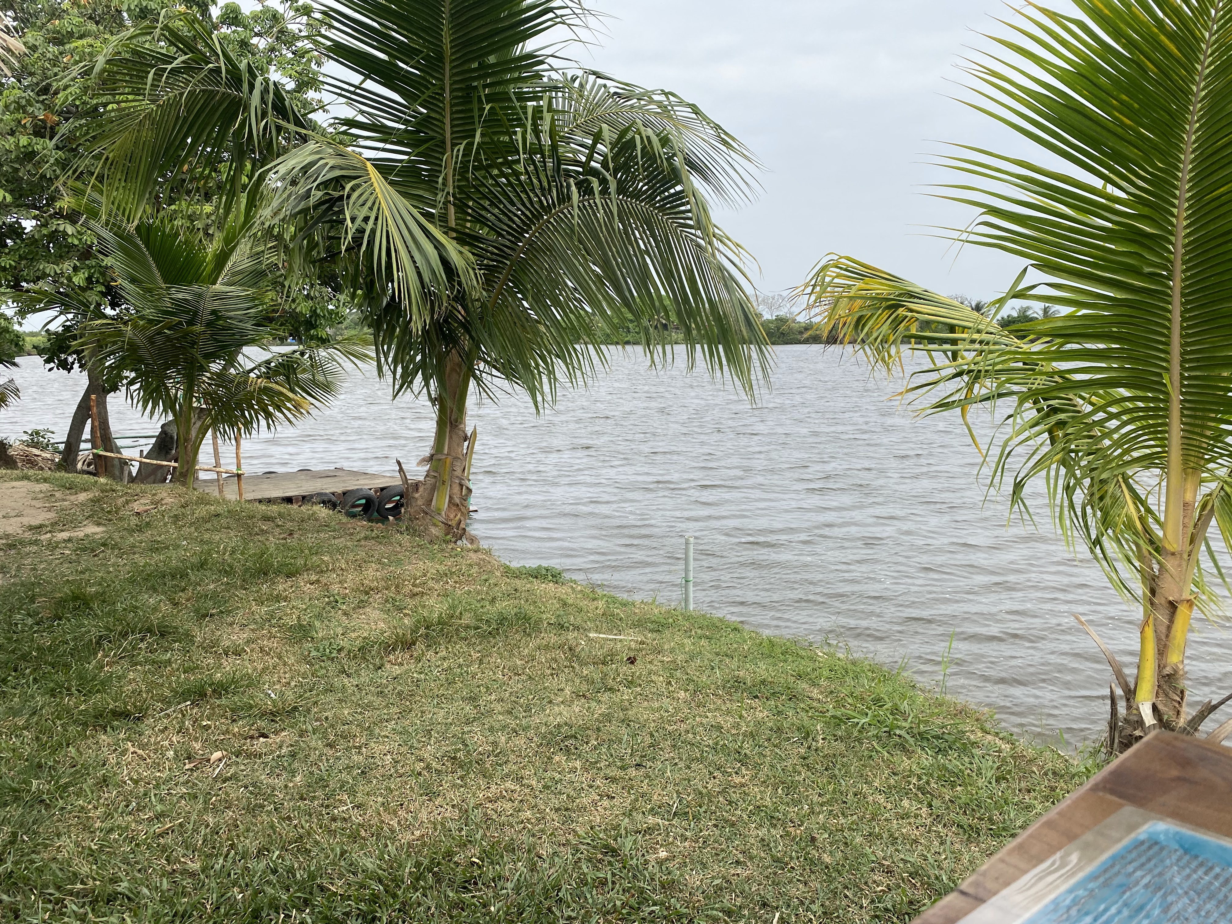 Palapas las iguanas image 2