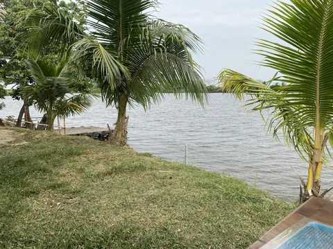 Palapas las iguanas image 2