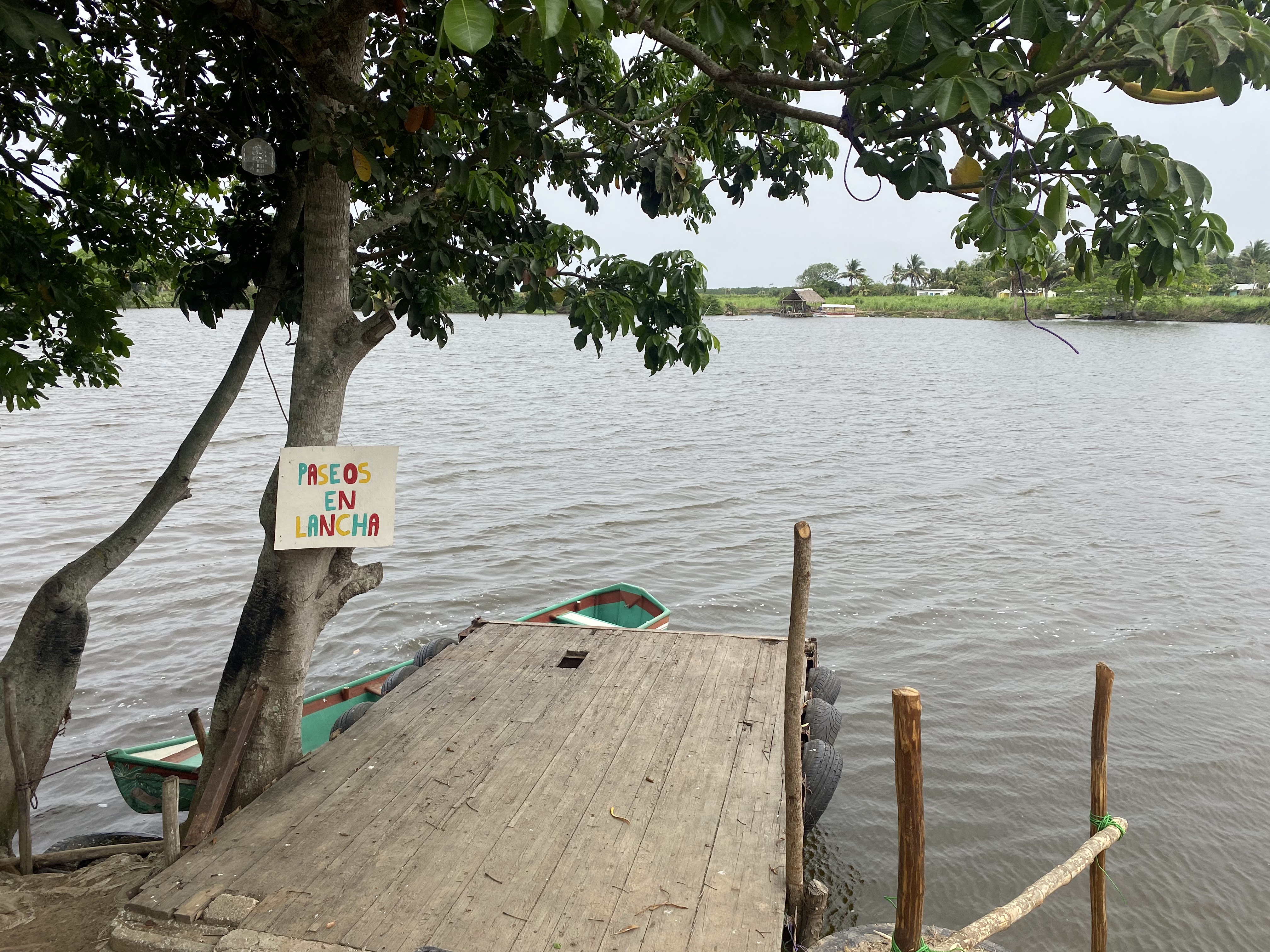 Palapas las iguanas image 4