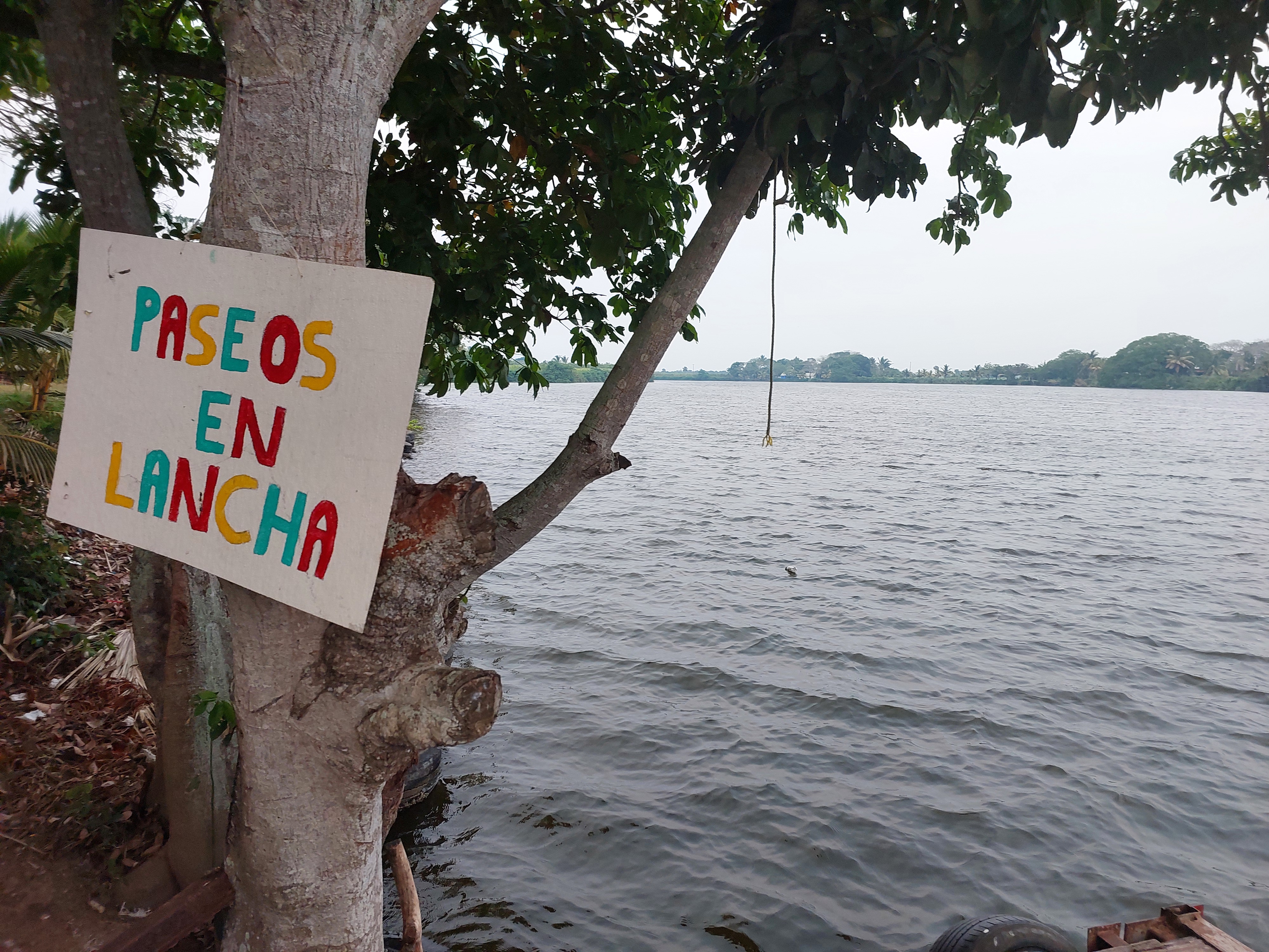 Palapas las iguanas image 5