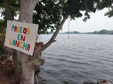 Palapas las iguanas image 5