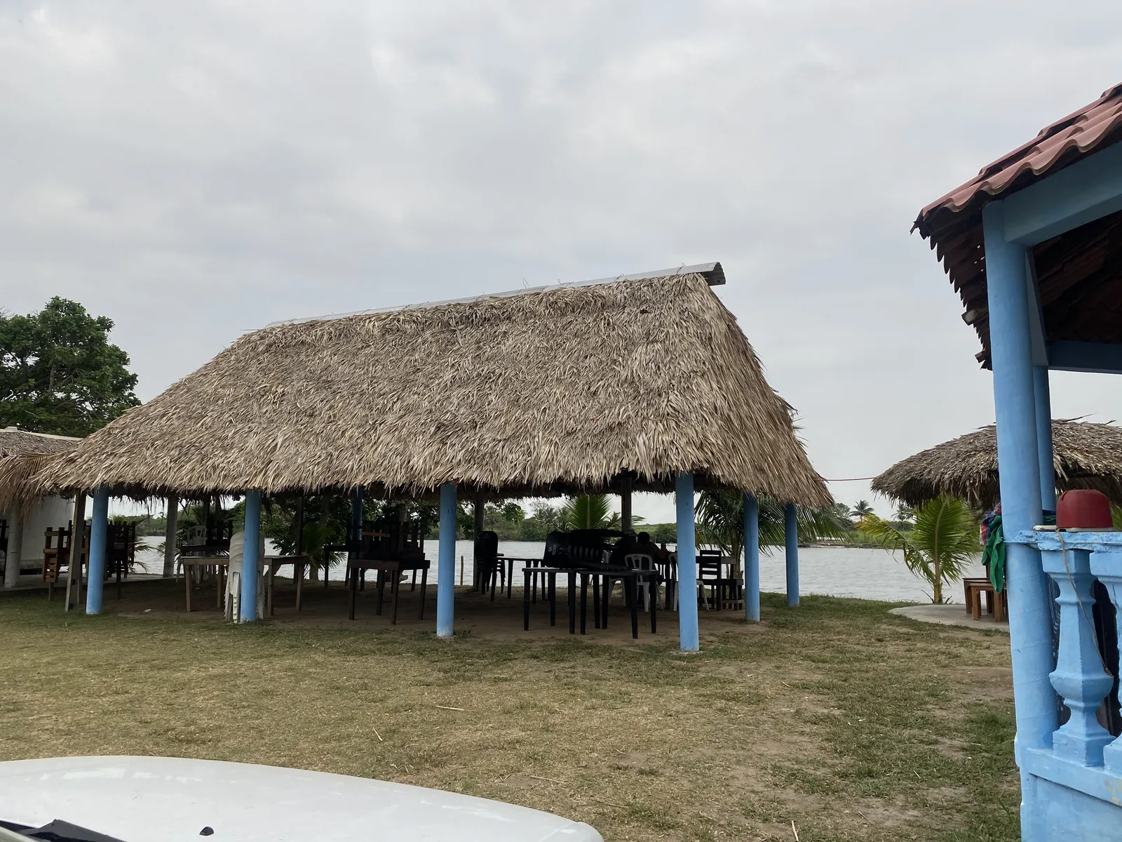 Palapas las iguanas image 6