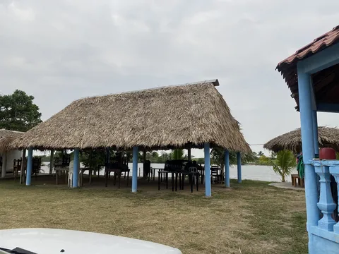 Palapas las iguanas image 6