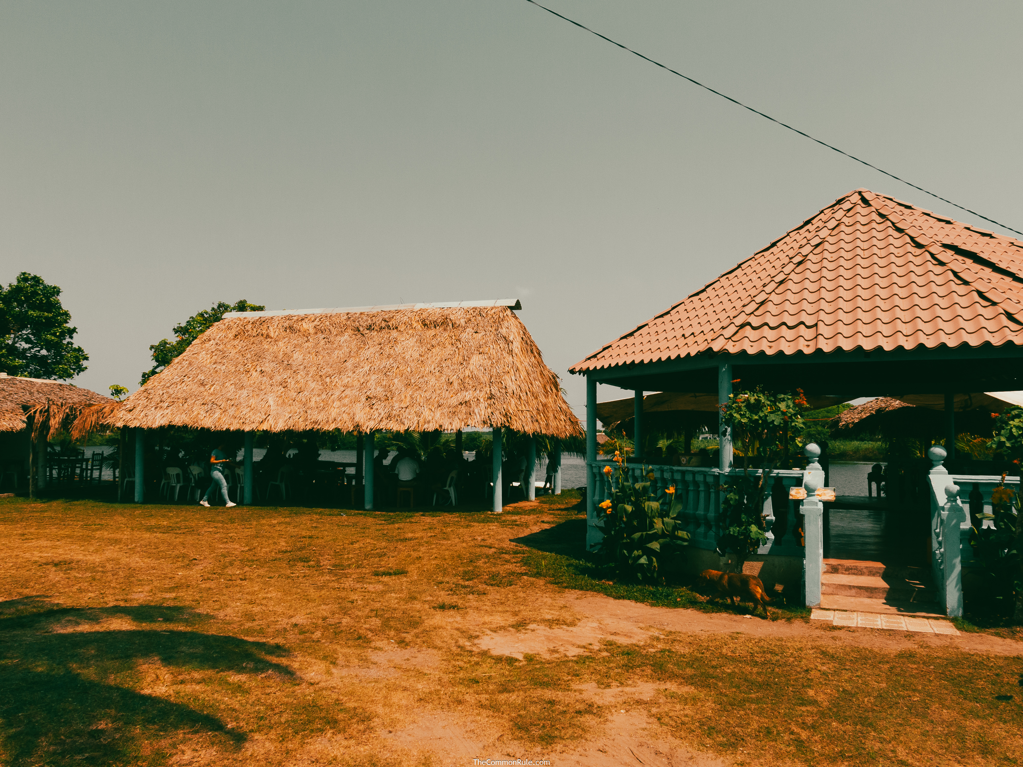 Palapas las iguanas image 7