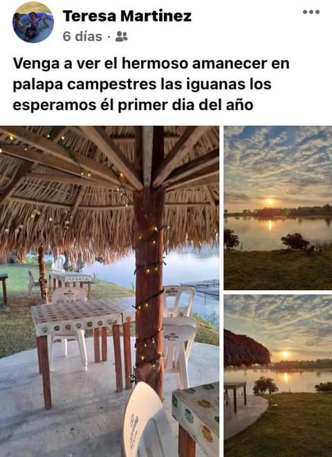 Palapas las iguanas image 9