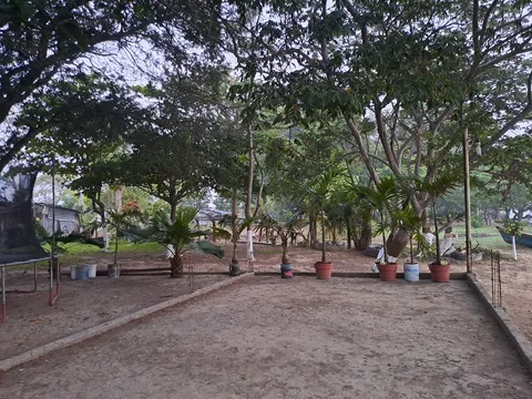 Aldo's beach image 5