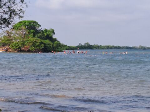 Aldo's beach image 8