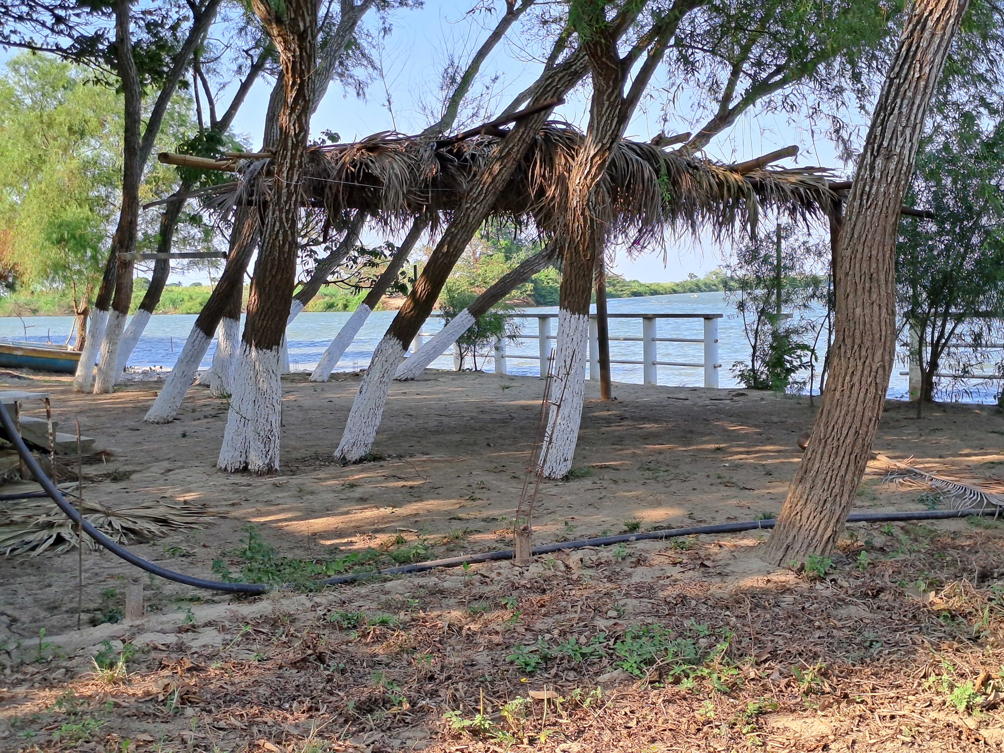 Aldo's beach image 9