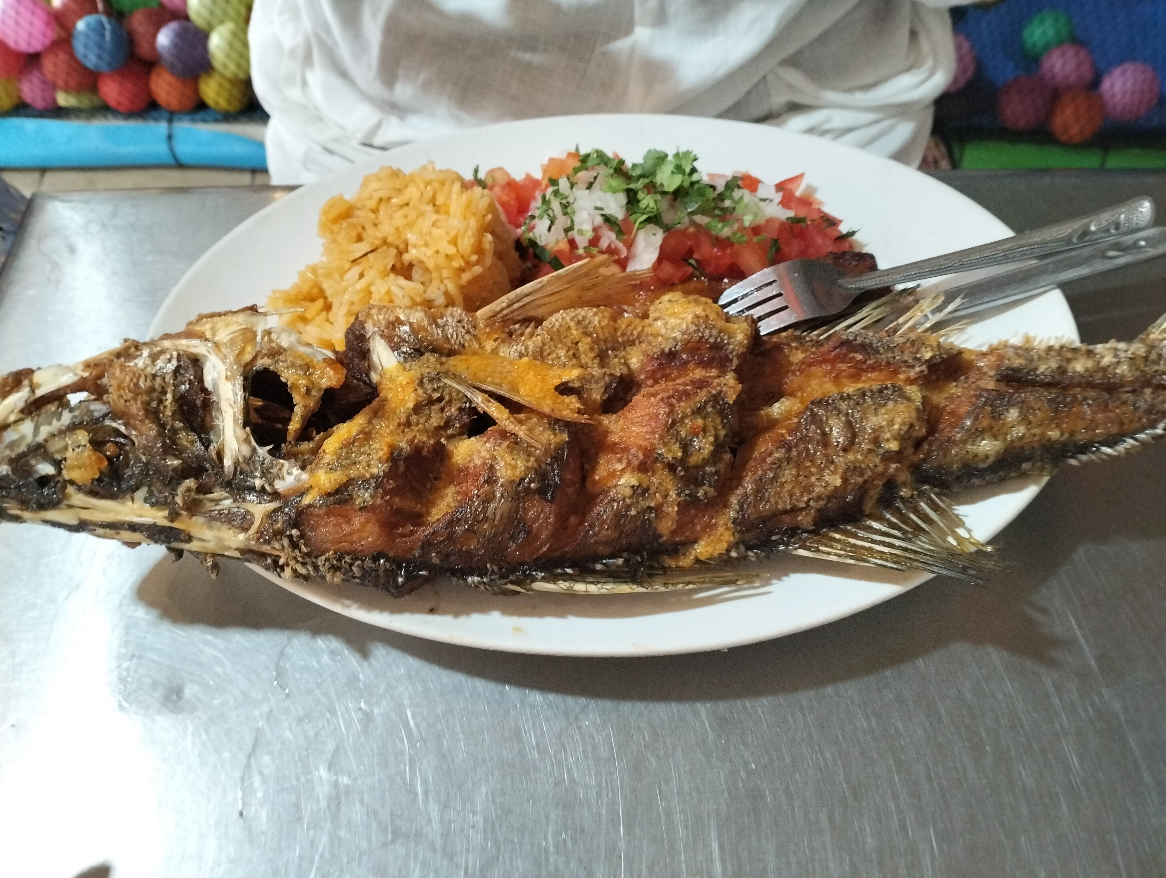 Palapa de Mauricio image 8