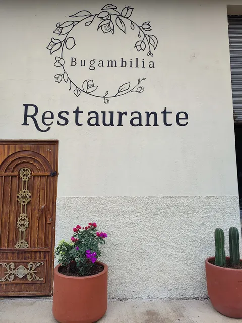 Bugambilia image 2