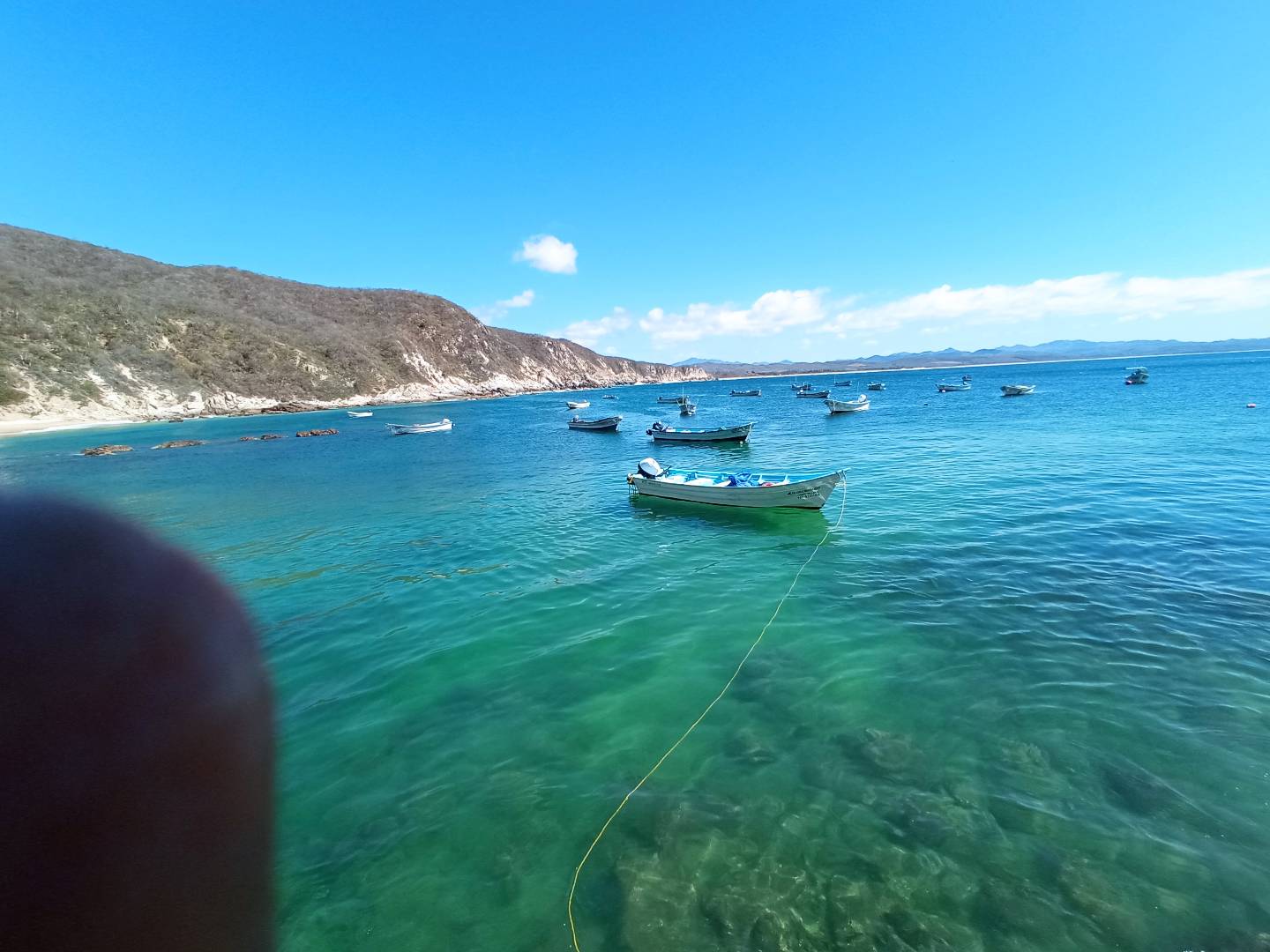 Pescadería el abonero image 2