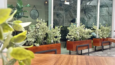 Merak Cafe image 3