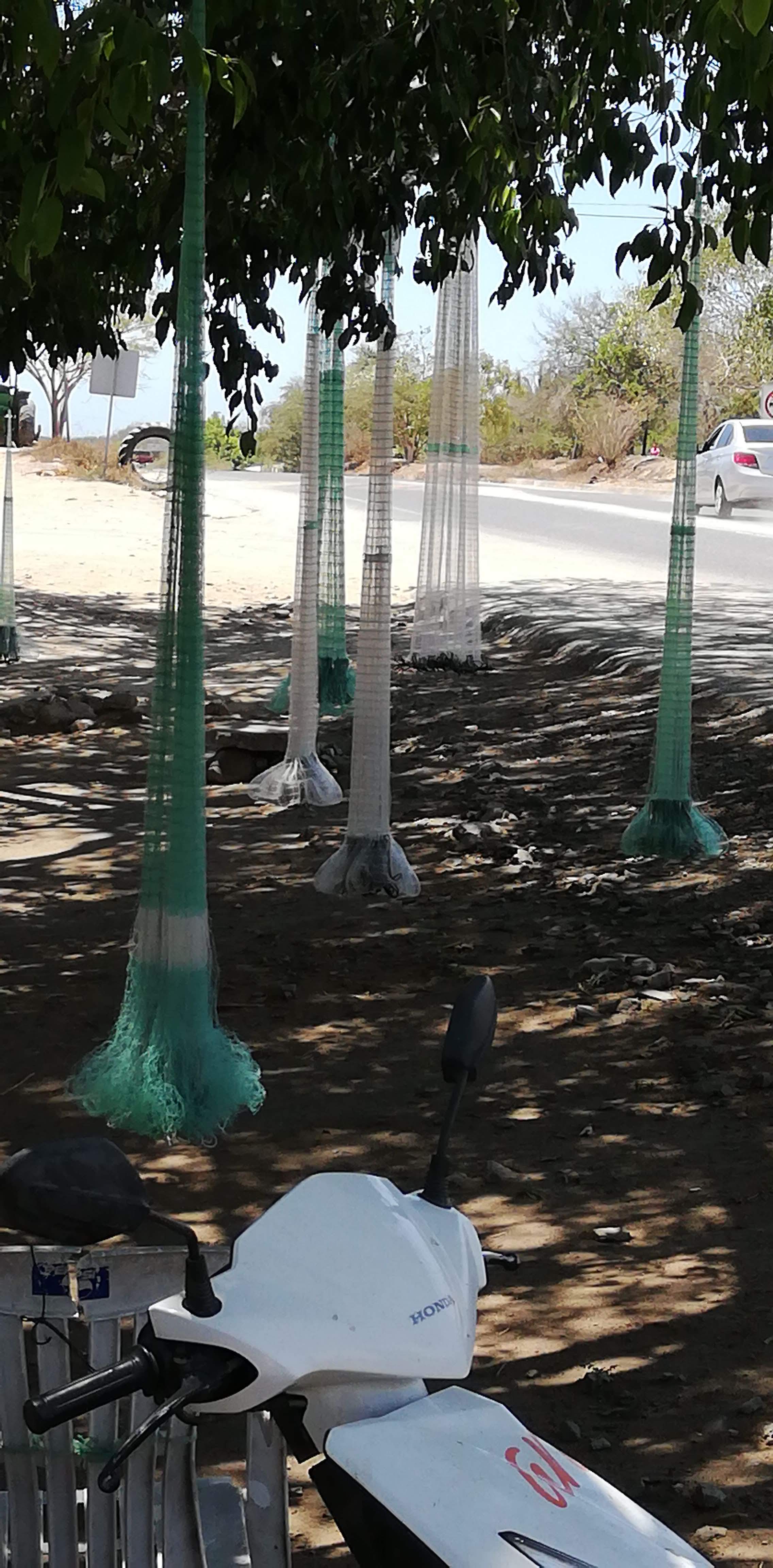 Mariscos Tamboroco image 5