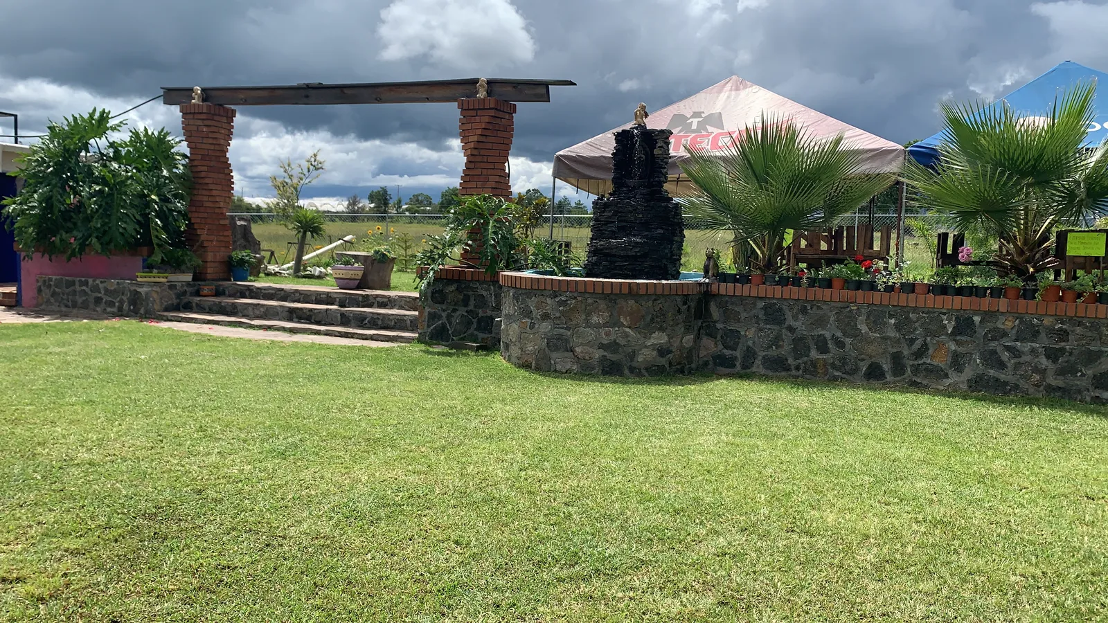 LA PALMA RESTAURANTE CAMPESTRE image 10