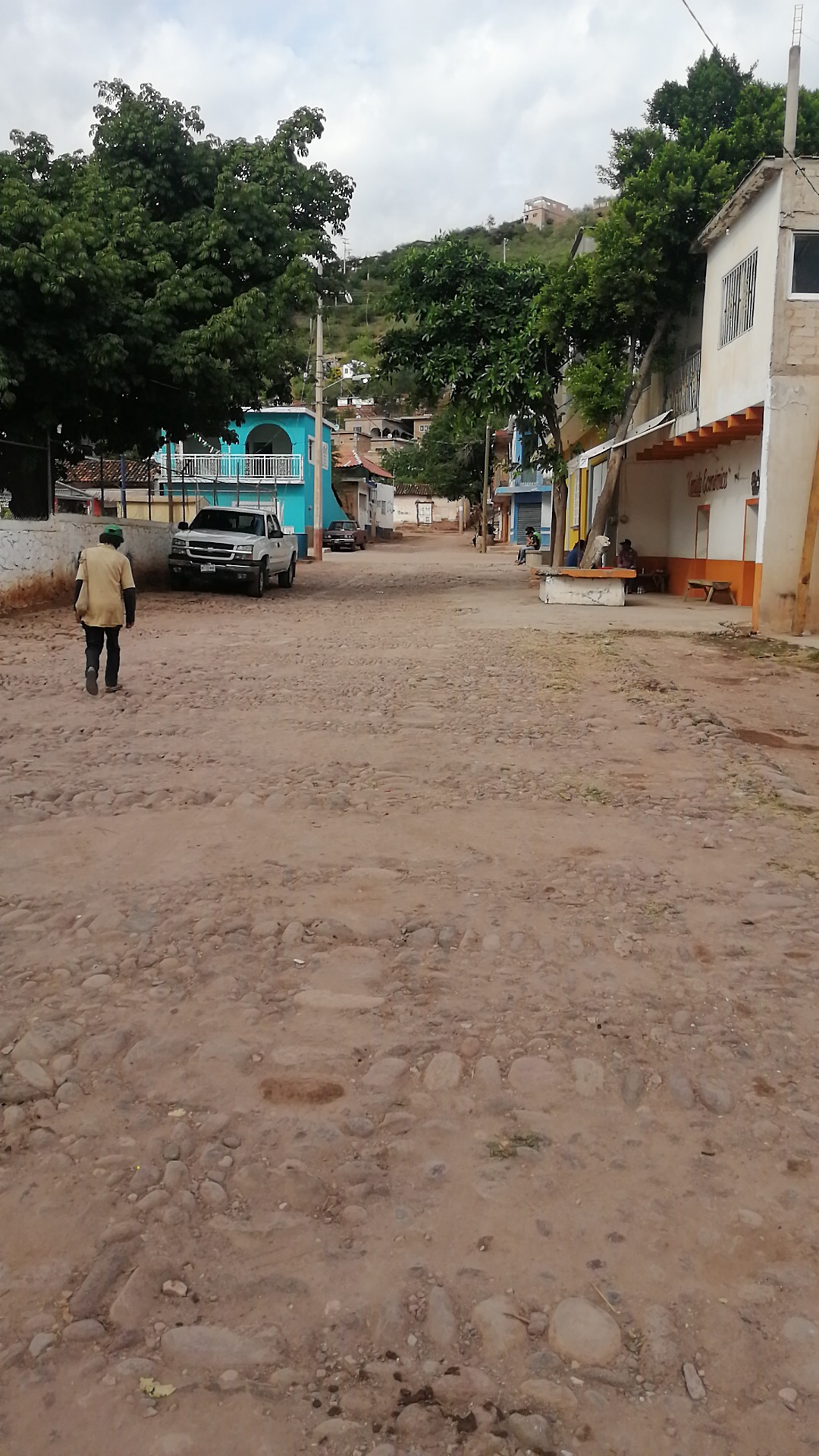 Restaurant "Alexis" image 4