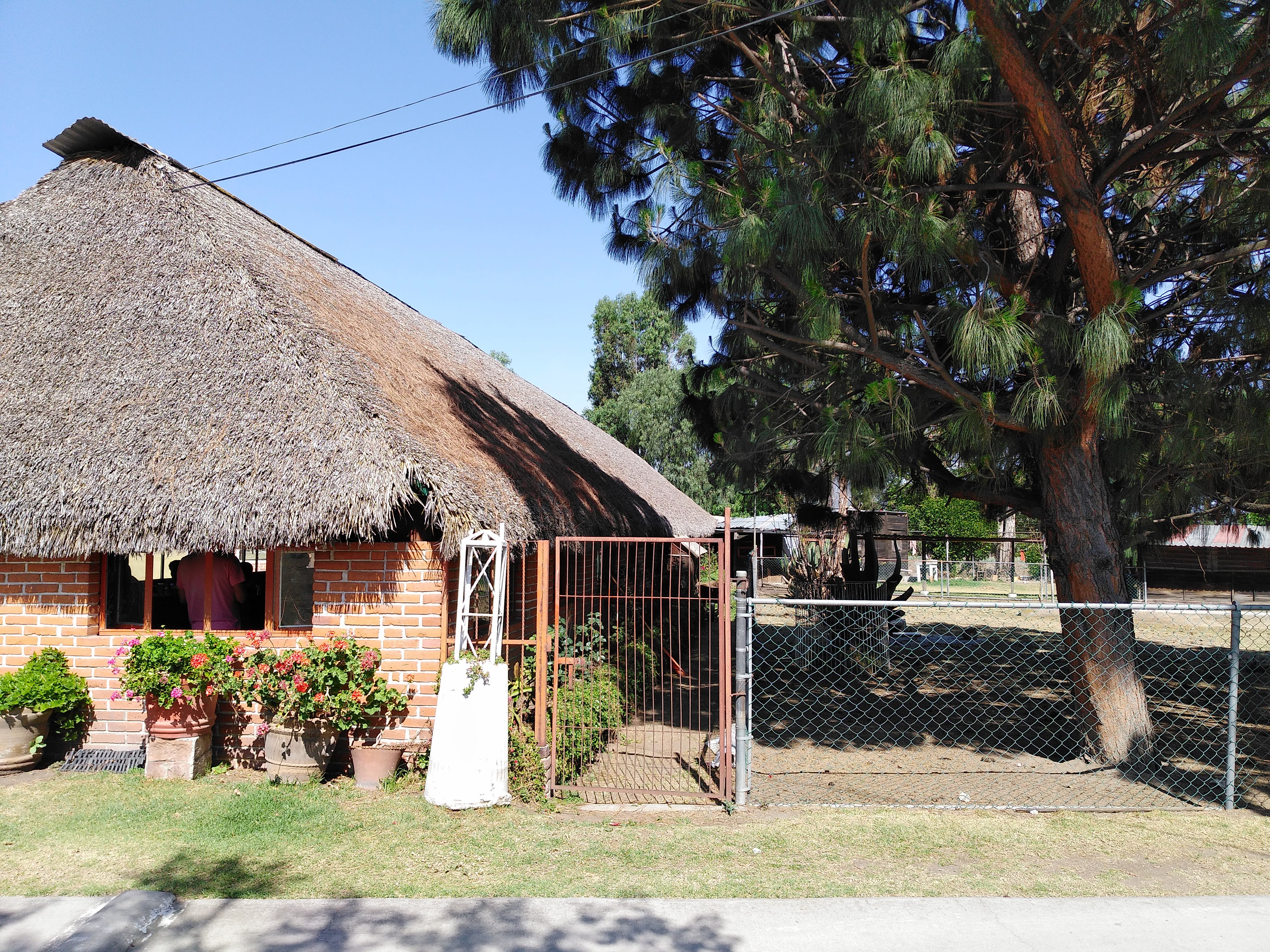 Restaurante El Tío Tom image 3