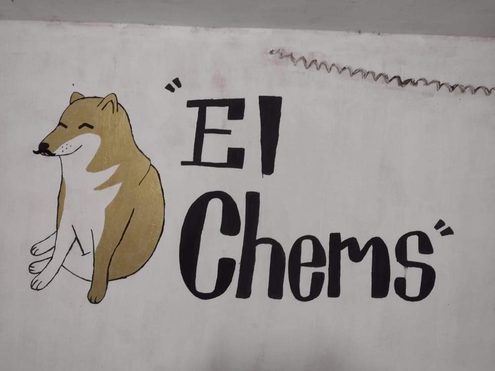 El chems de oro image 2