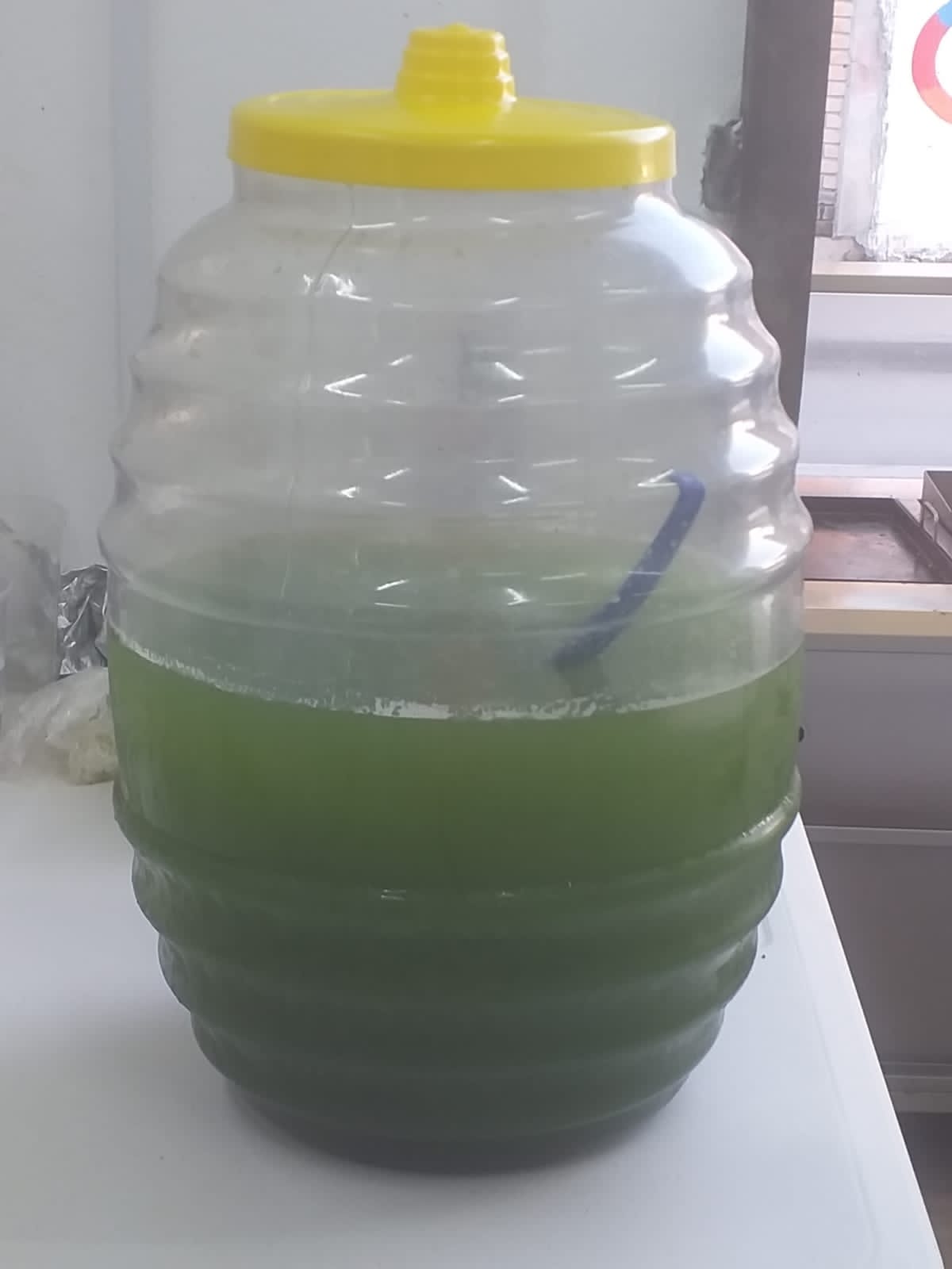 Taqueria los Camacho image 8