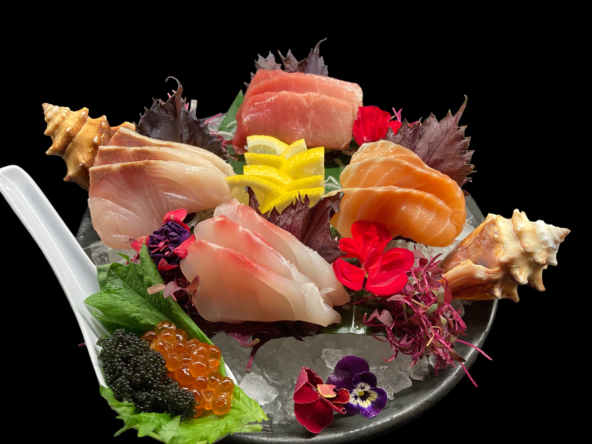 Kuro San S.L.P. image 7