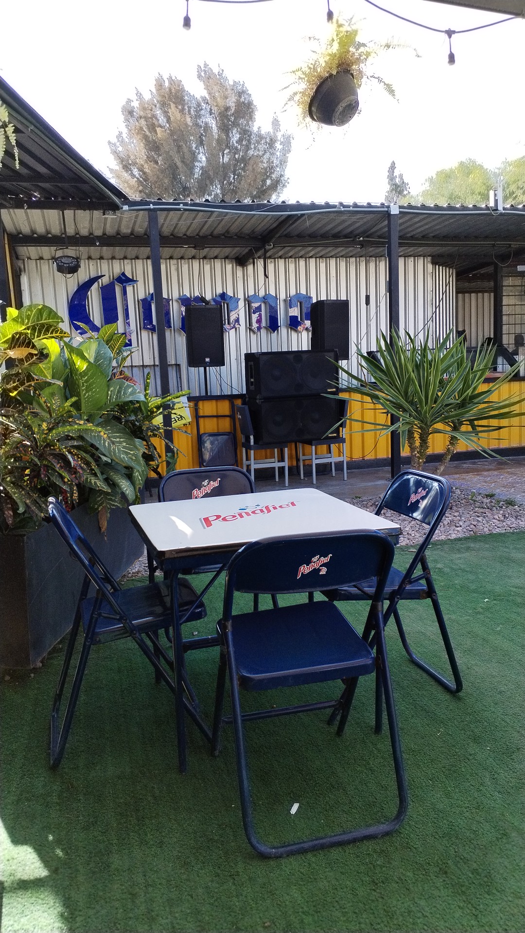 Mr sinaloa Barracruda image 1