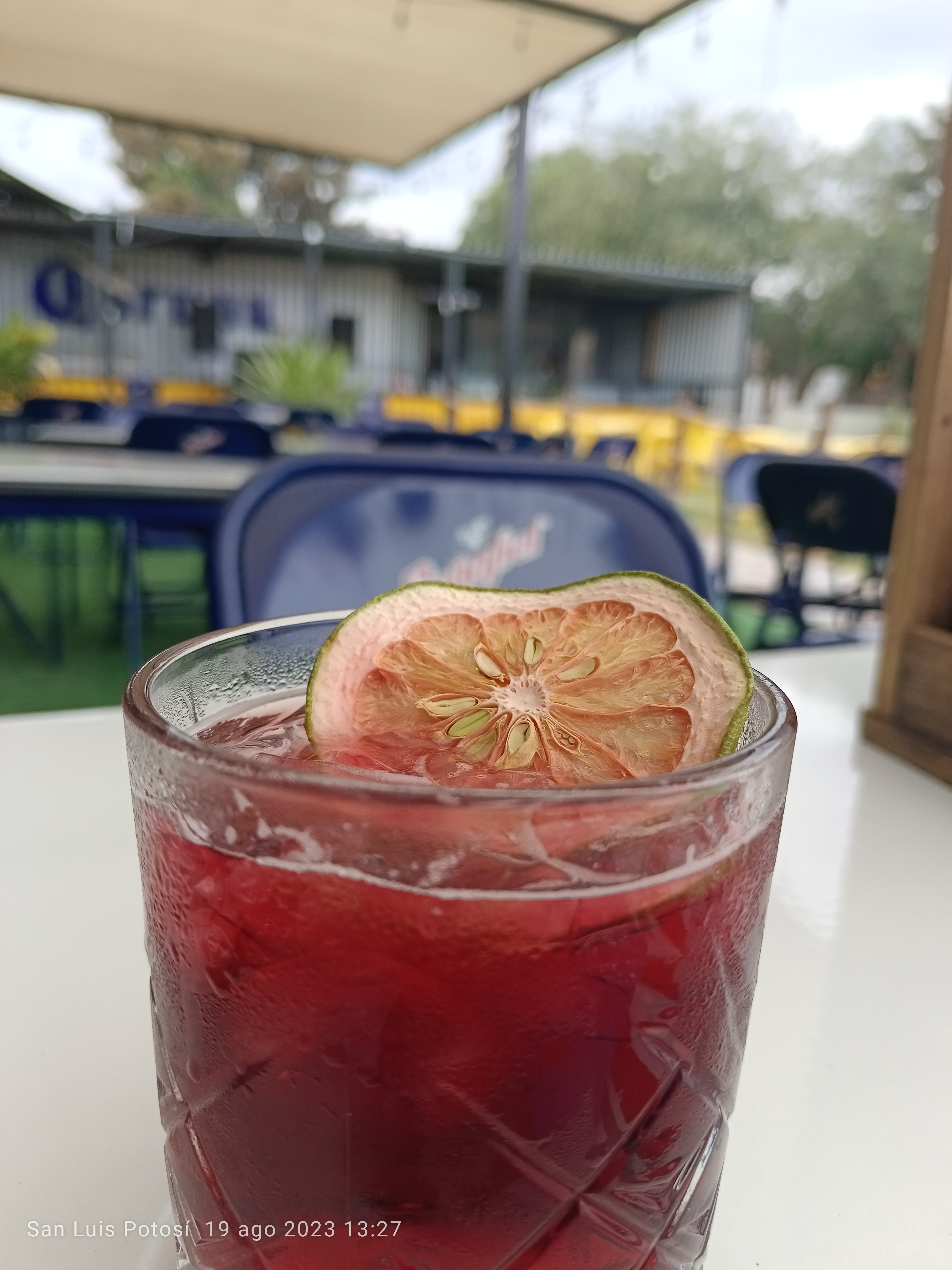 Mr sinaloa Barracruda image 5