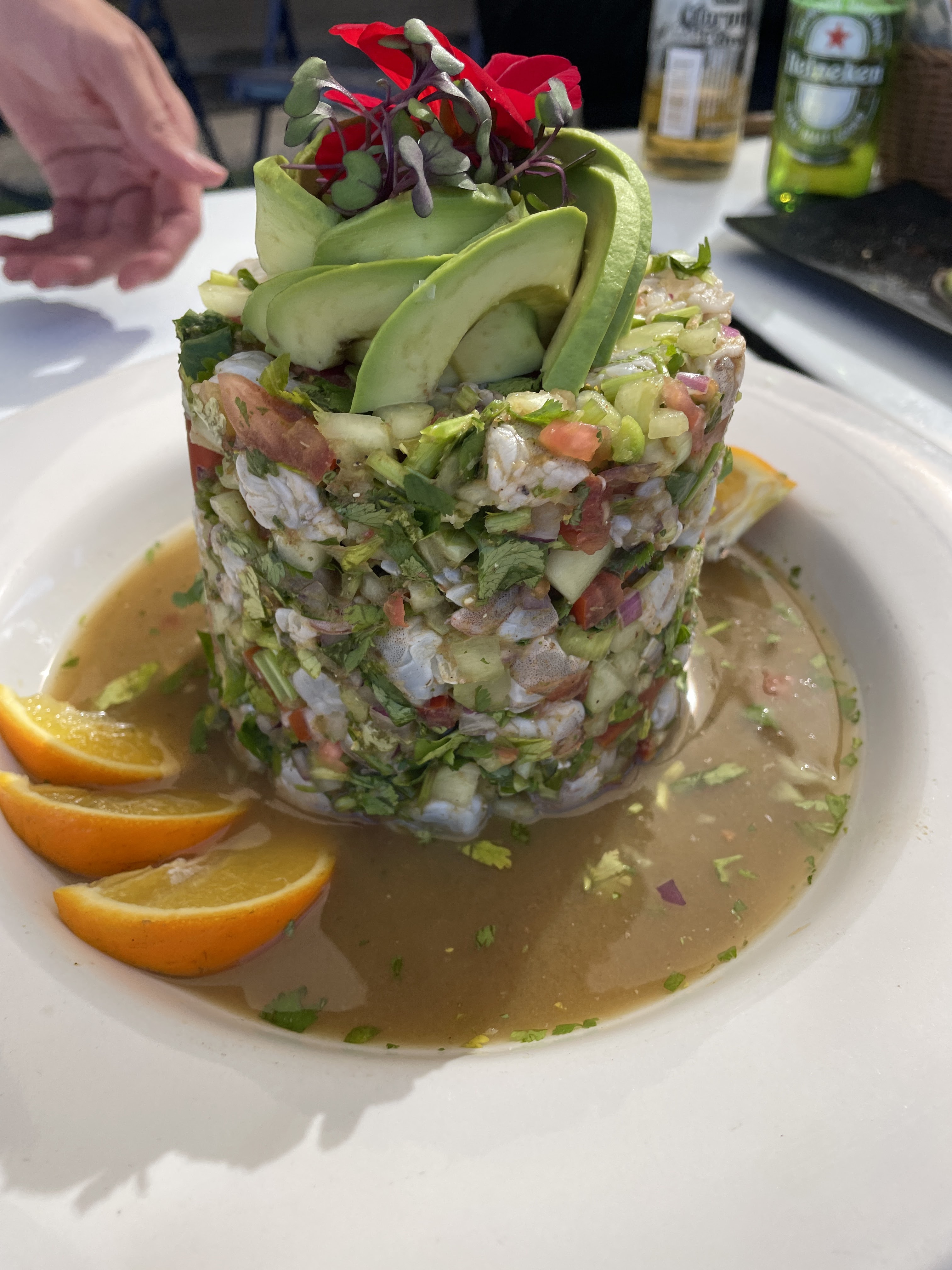 Mr sinaloa Barracruda image 7