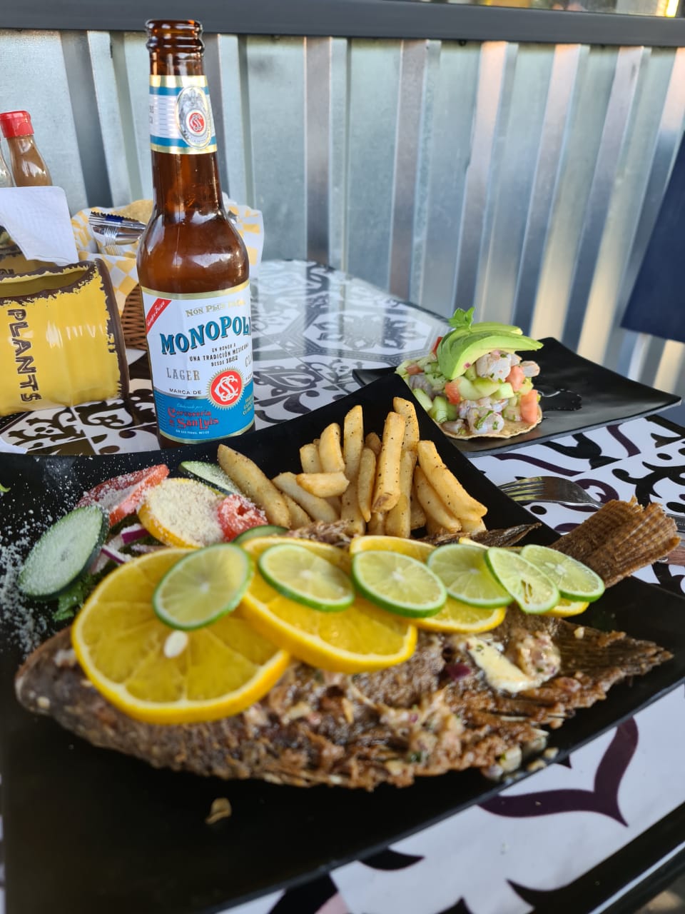 Mr sinaloa Barracruda image 9